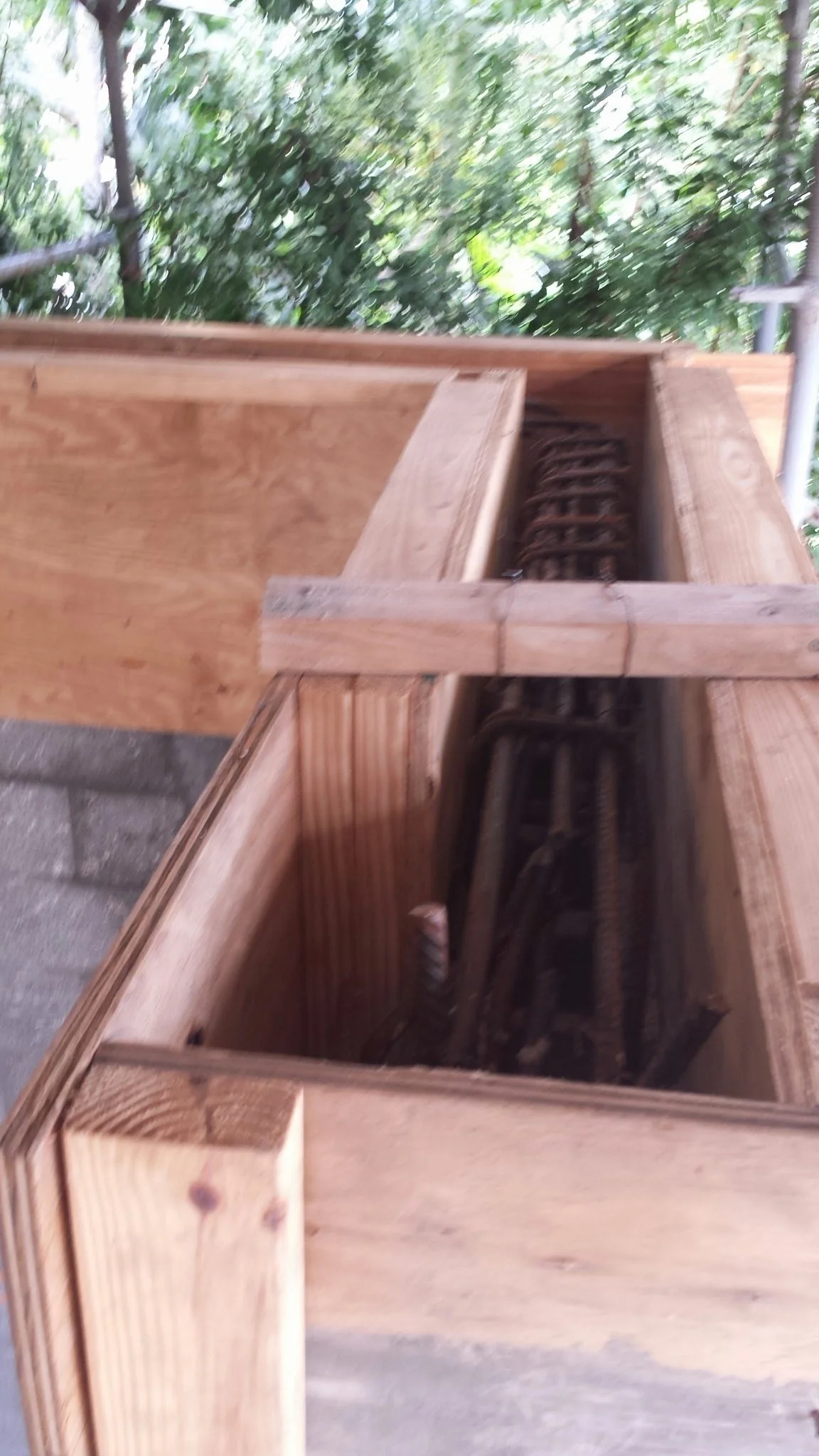 20140808_115848.jpg