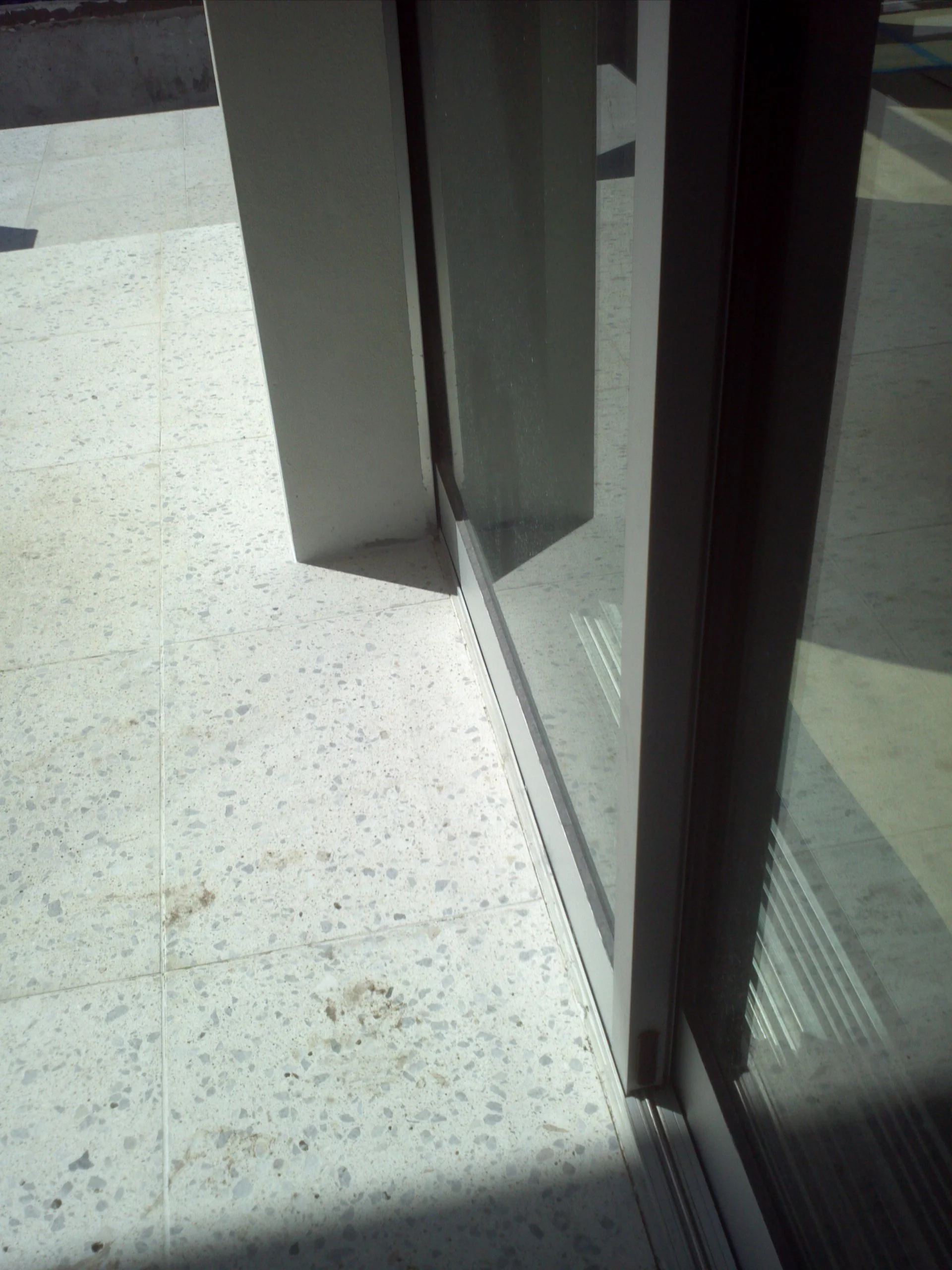 IMG_20130307_095855.jpg