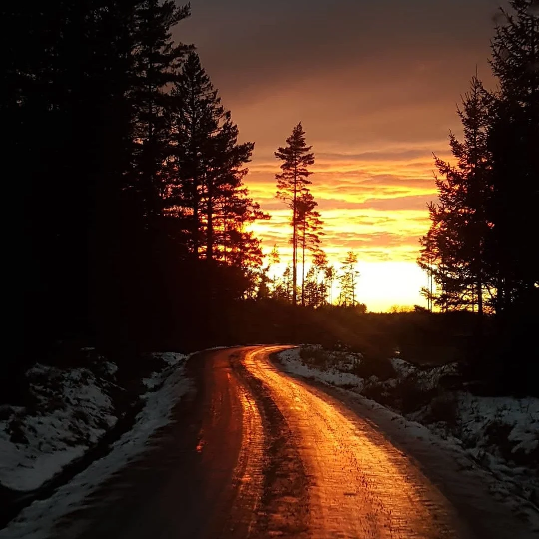 Except the traffic light that is me, goes beyond the usual red, orange and green
Me, myself and I, is every damn color that exists