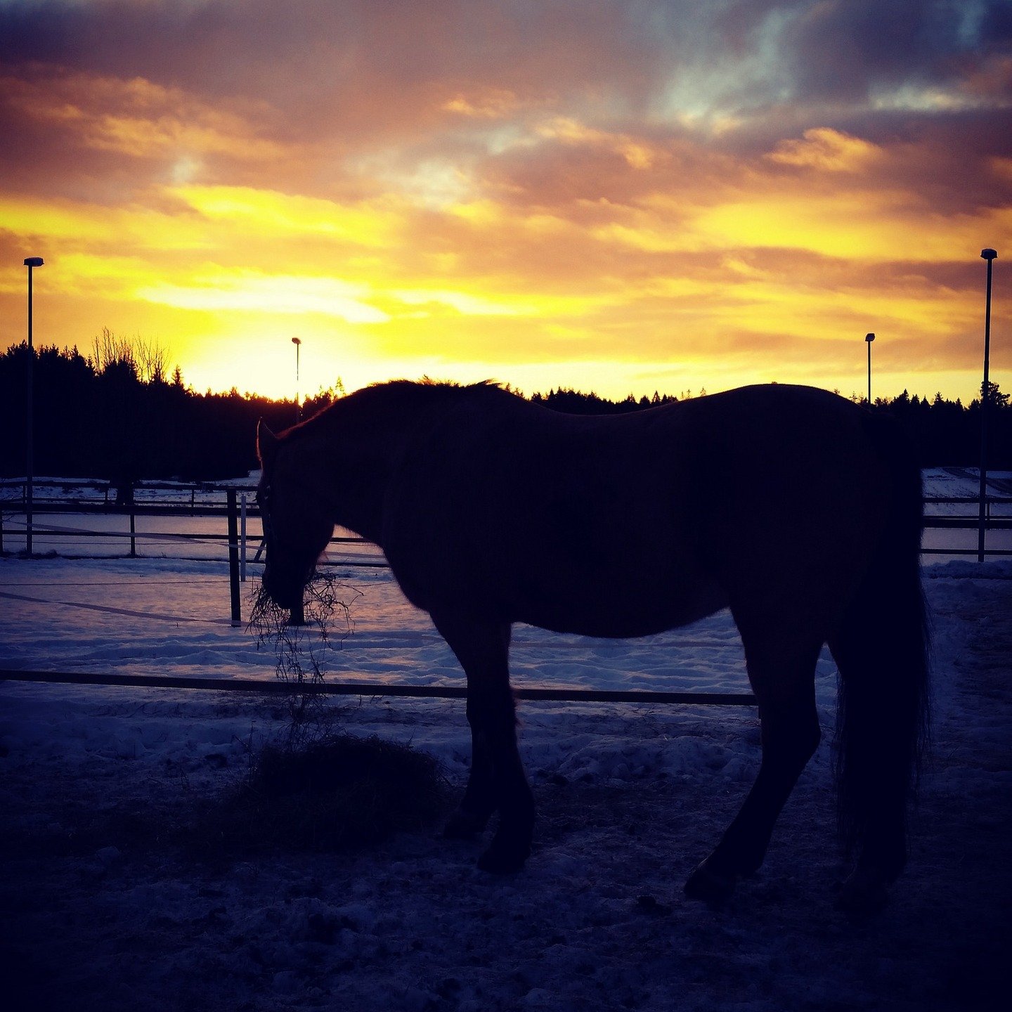 A beautiful moment in time