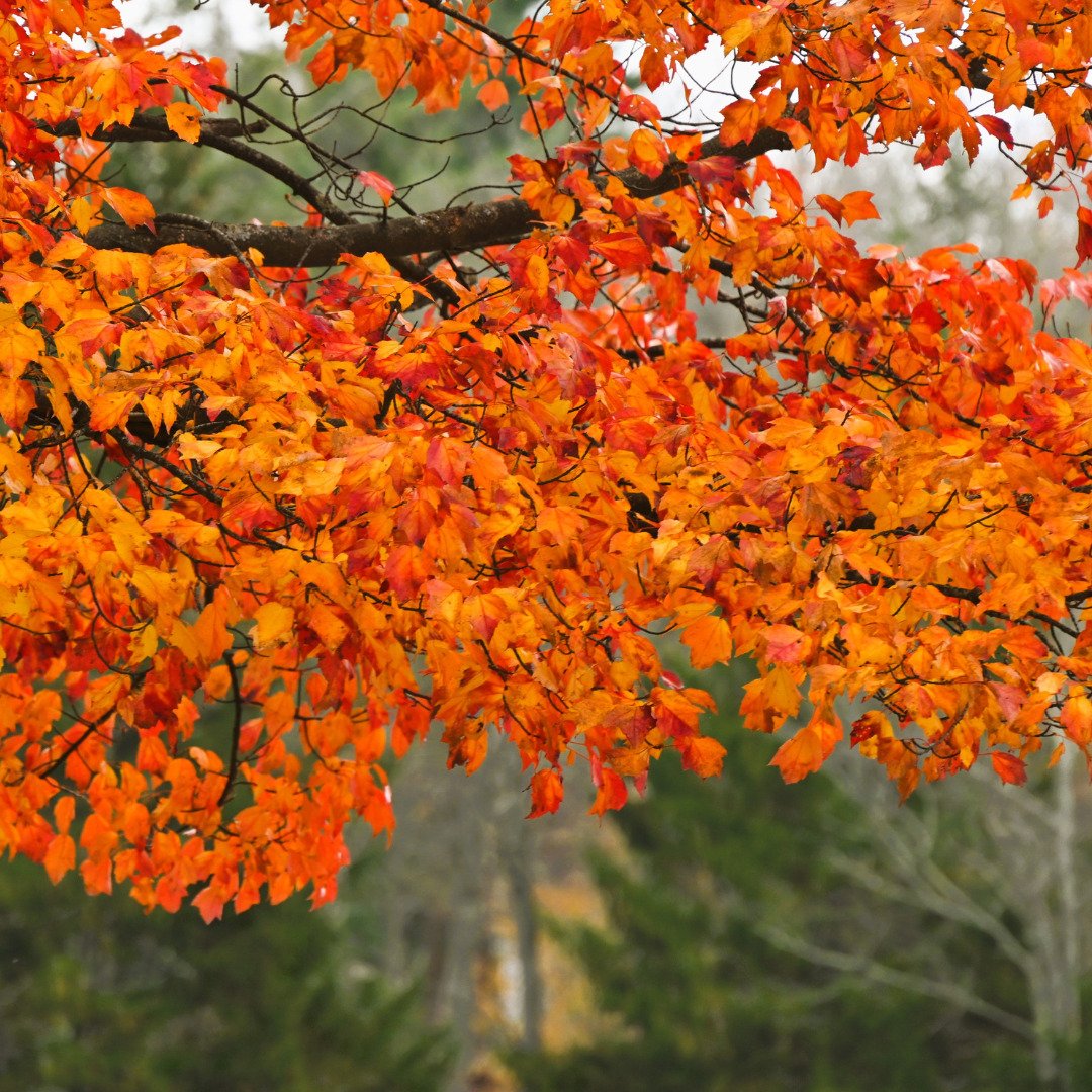 I pray that you find strength in releasing the old paper clip that is barely holding your emotions together and feel someone pat you on your back, as you turn around, allow yourself to cry on their shoulder. You will find a way to navigate through th