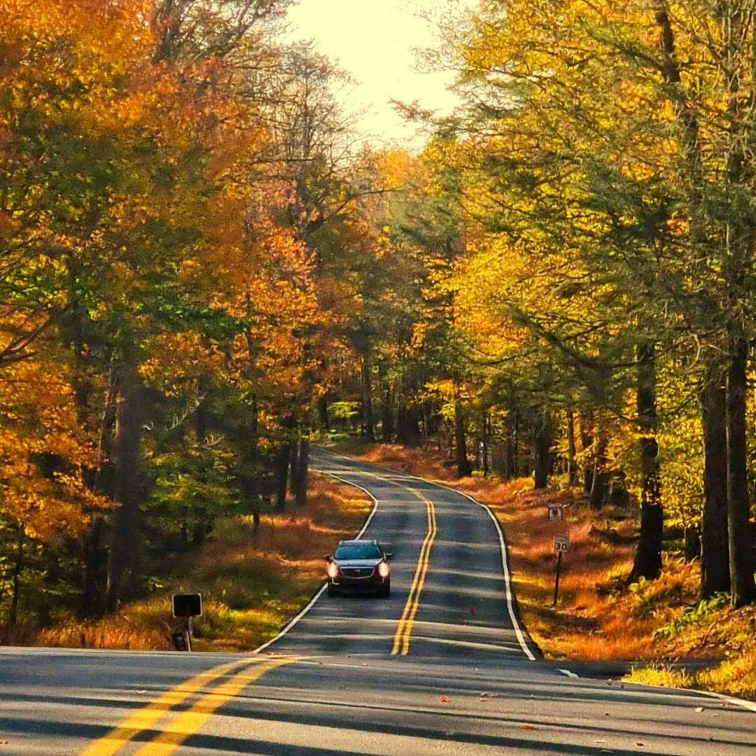 Except the traffic light that is me, sometimes shines red, a reason to stop but who hasn&rsquo;t Broken the law and driven or walked through a red light?

Sometimes shines black, for who hasn&rsquo;t ever felt like they don&rsquo;t fit in and don&rsq