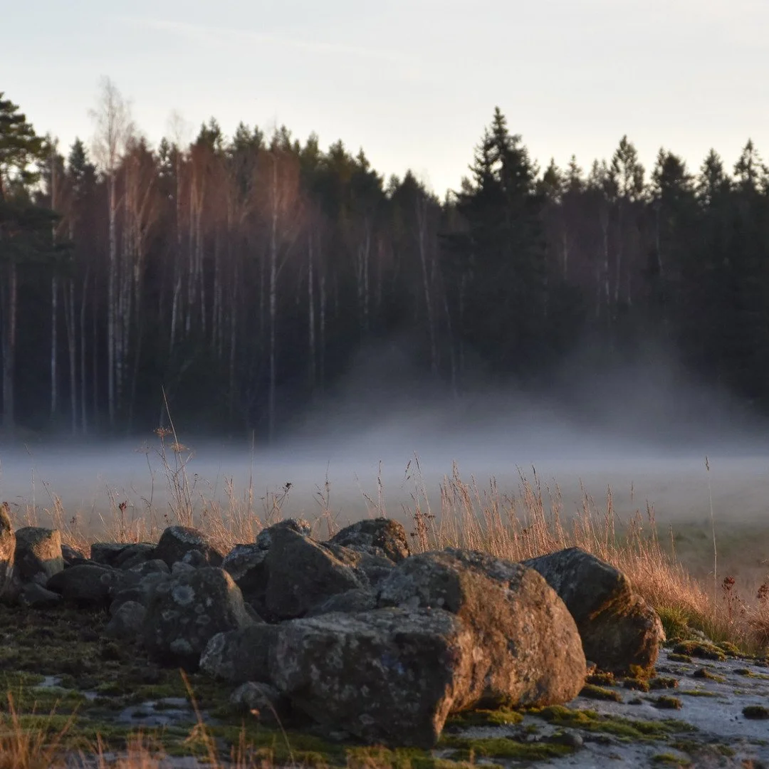 Let nature lead the way