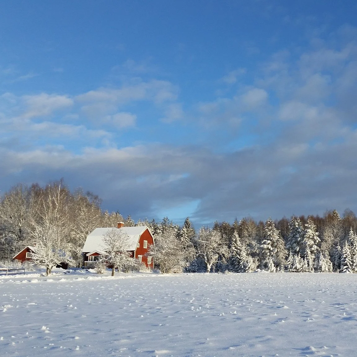 How do you prepare for your Winter season?