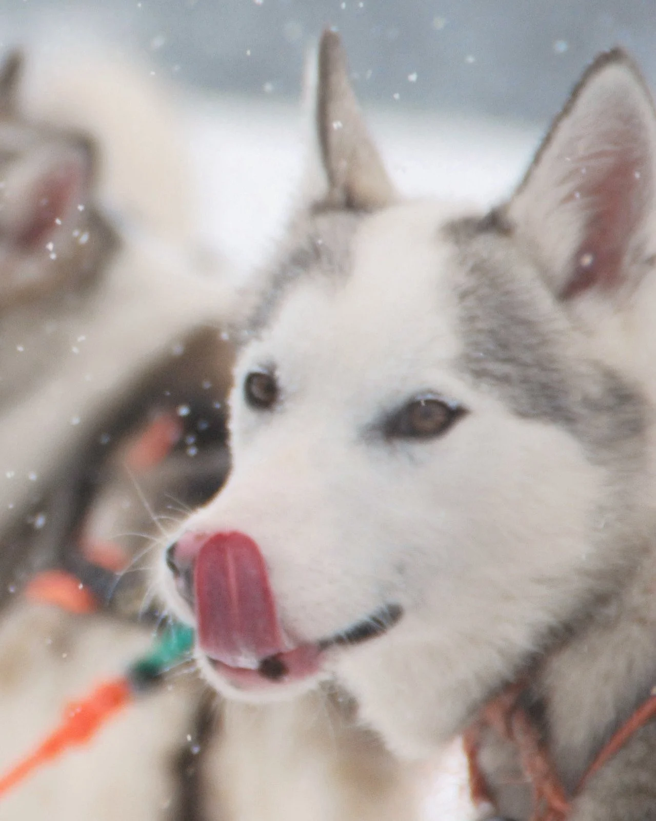 What journey are you on right now?