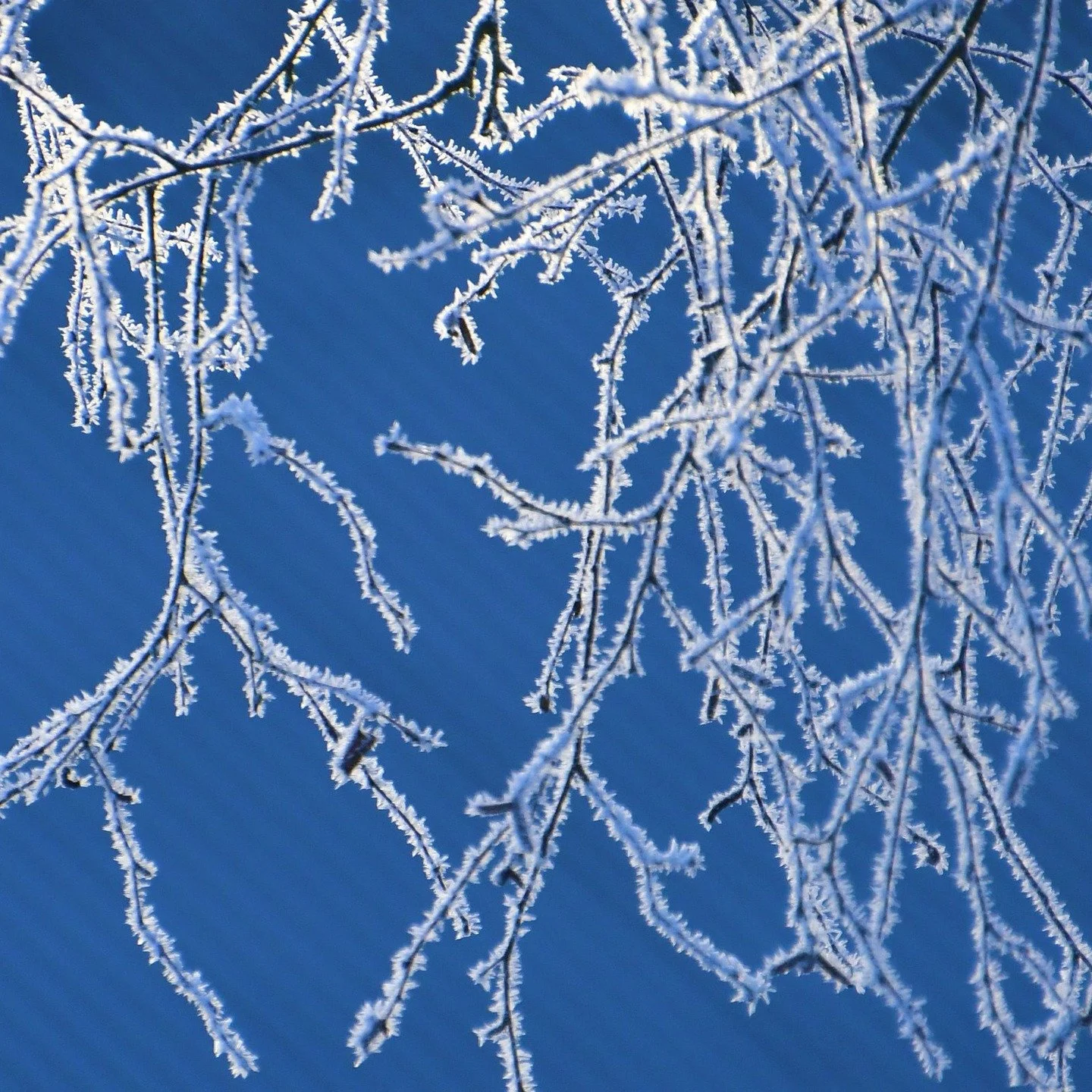 Blue skies exists during any season
