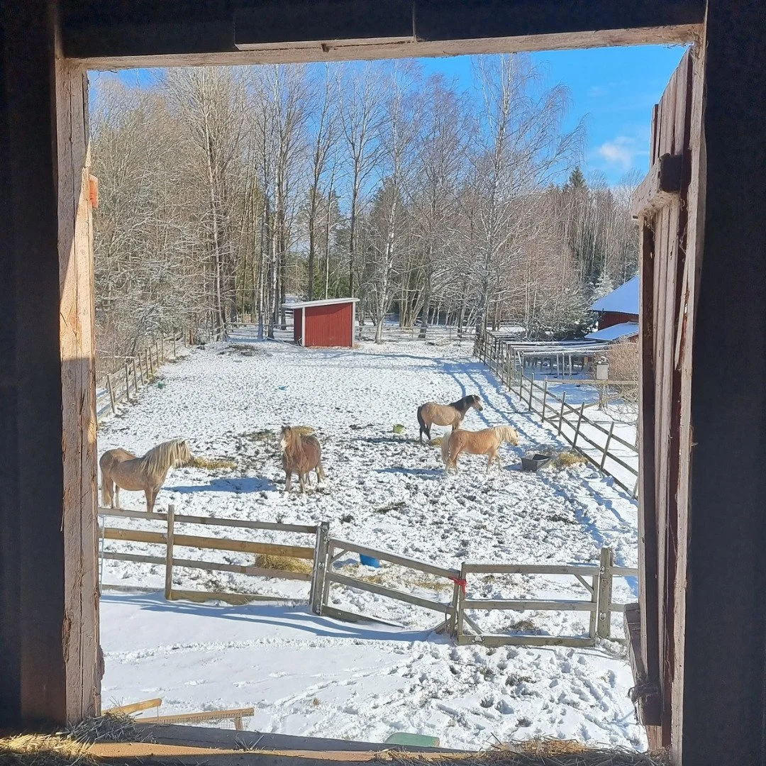 Work hard dream hard