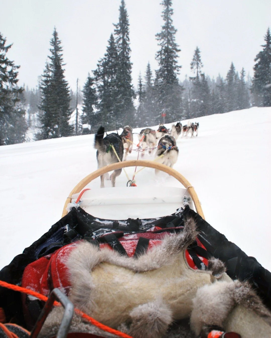 Where is your next adventure taking you?