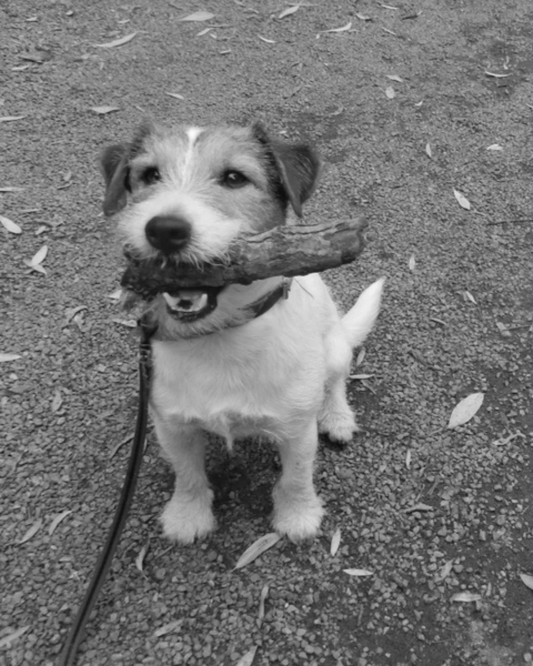 Let Your Light Shine Every Day.