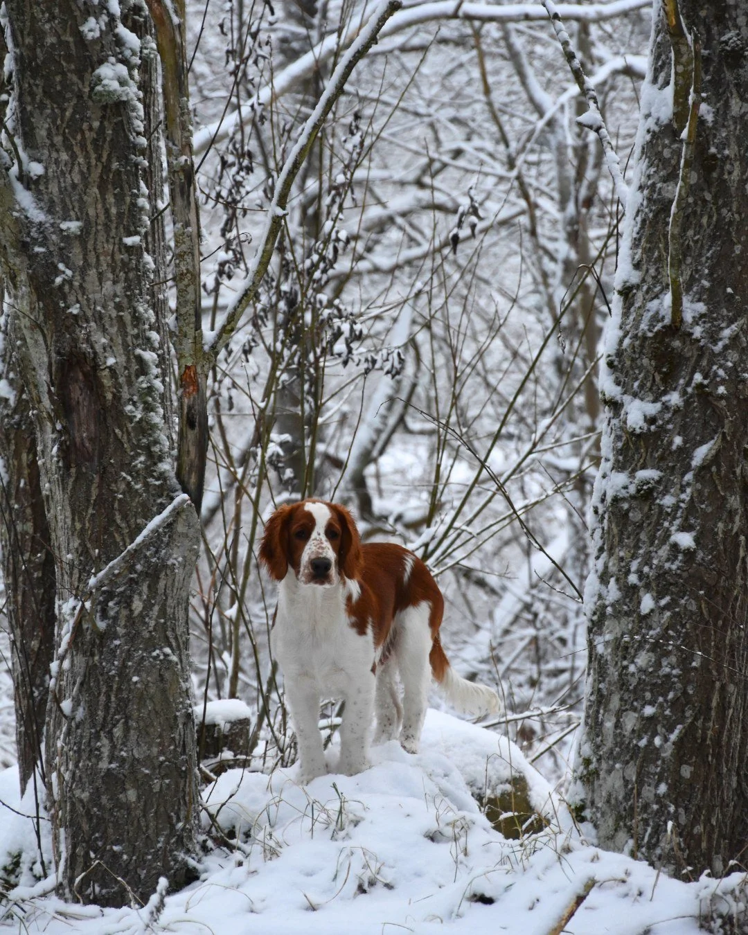 Let's go for an adventure