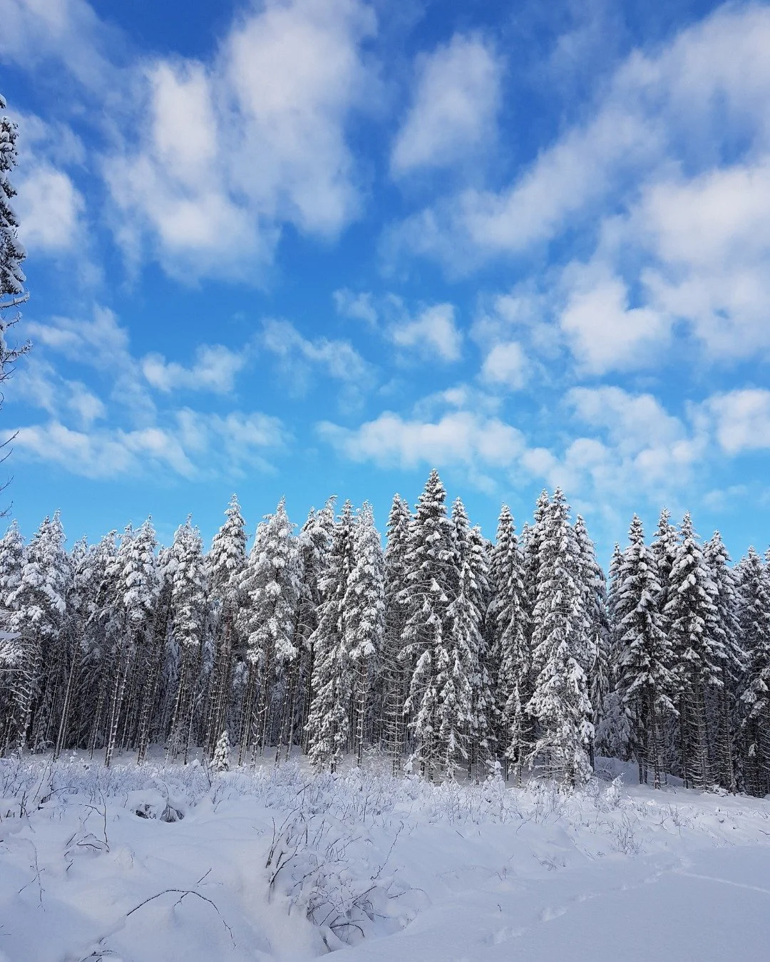 The power of now

#mentalhealthmatters #slowdown #breathe #healingjourney #peacefulmind