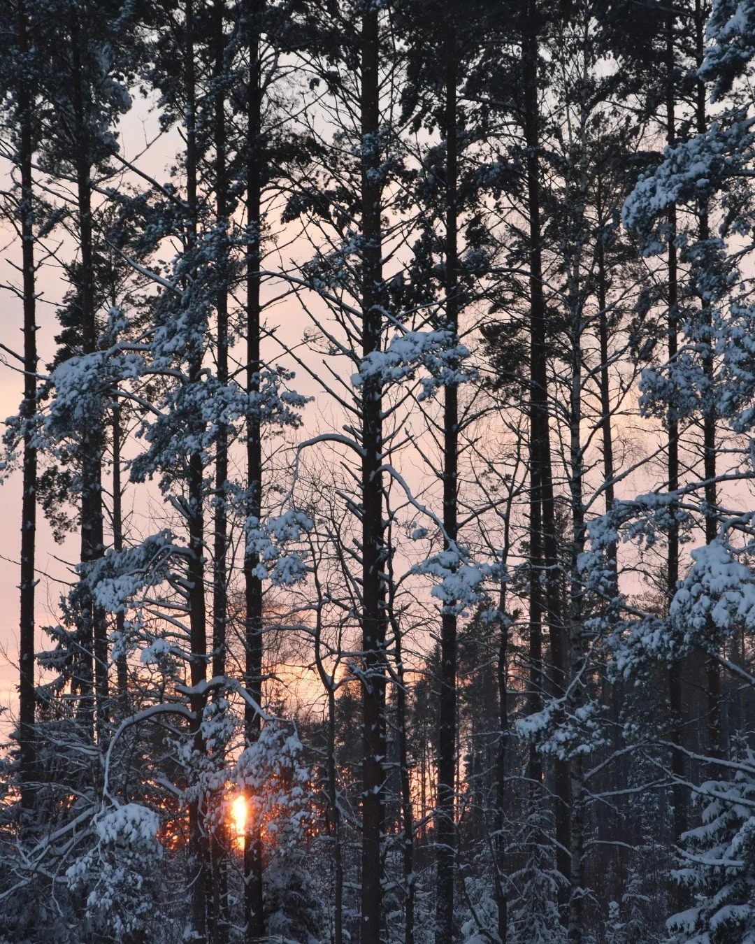 Healing isn&rsquo;t a race &mdash; it&rsquo;s a return to yourself

#wintervibes #winterfeelings #winter #snow