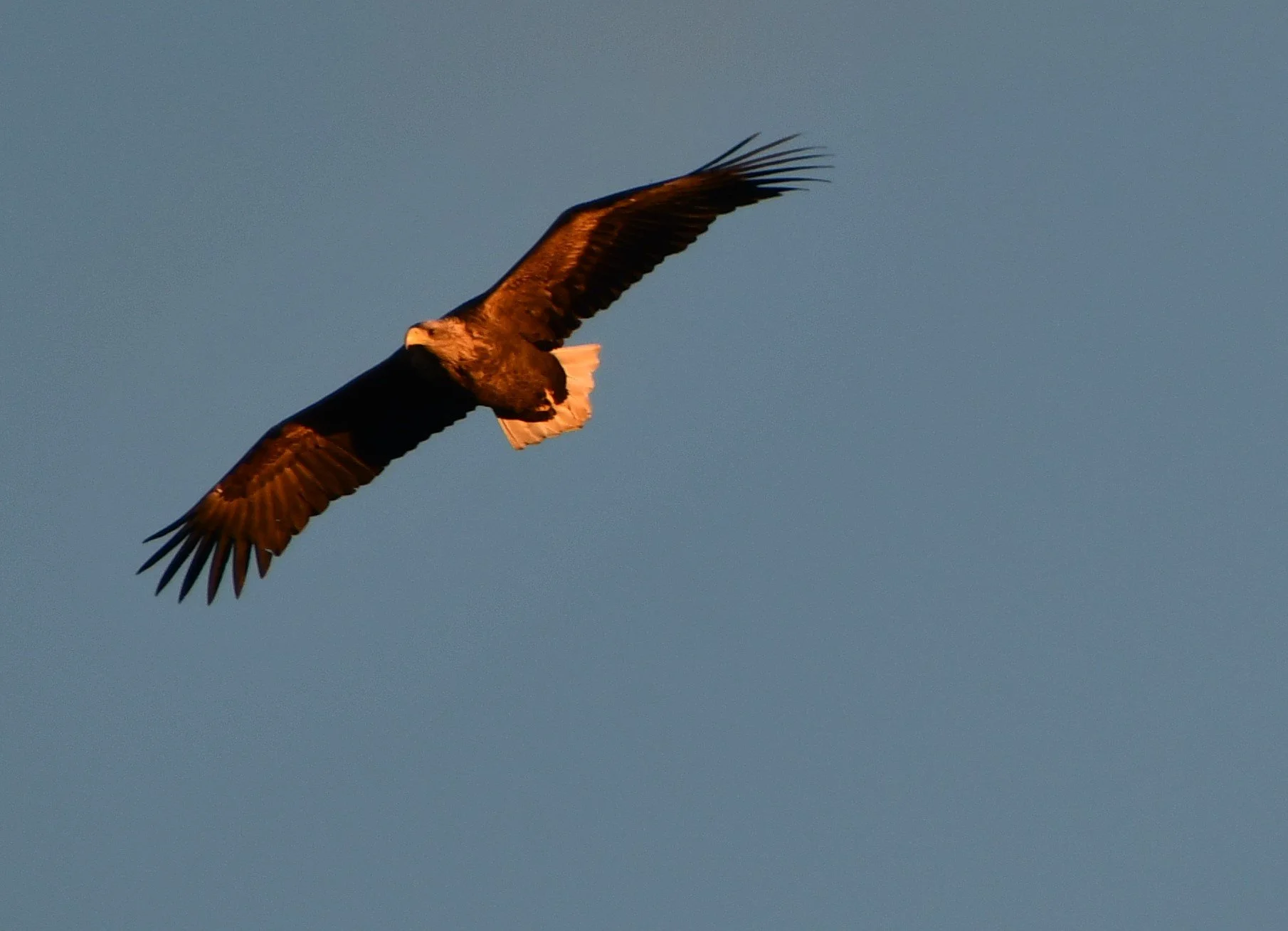 Faded away 
faded away all that I knew, cause something else filtered through
all that I wanted, all that I had, figured out it wasn&rsquo;t that bad
I took a deep breath and searched deep inside
decided right there to make it worth while

#growing #