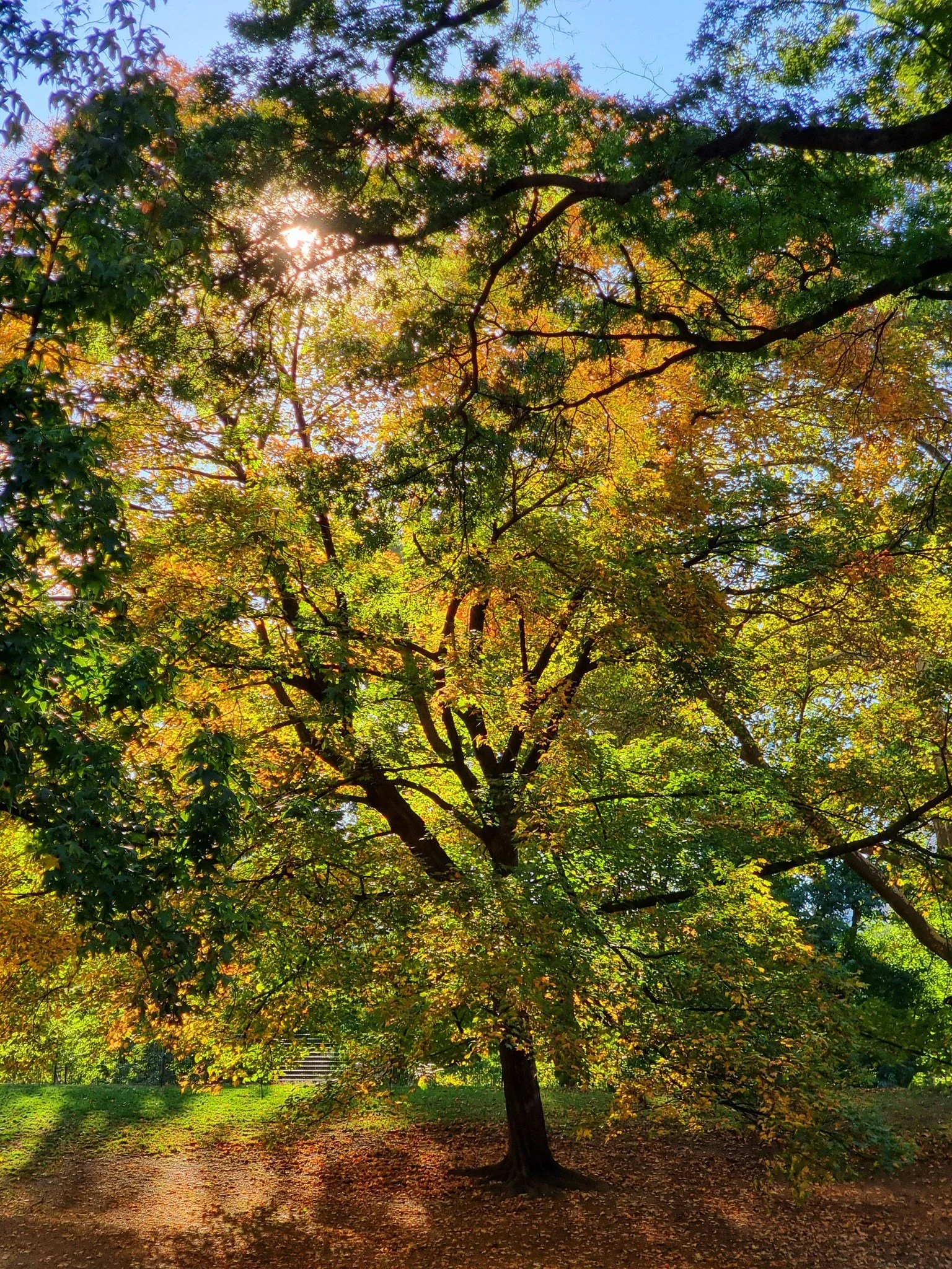 Spring time feels so good