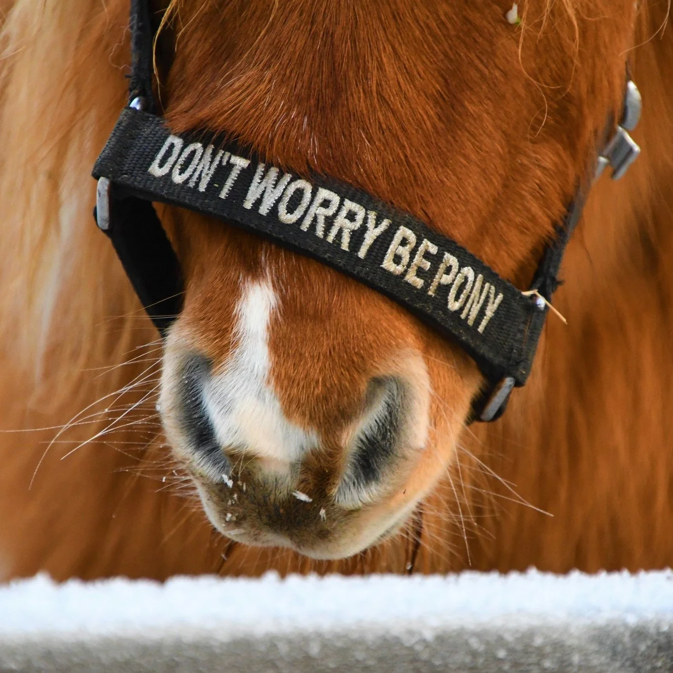 Happiness has a heartbeat