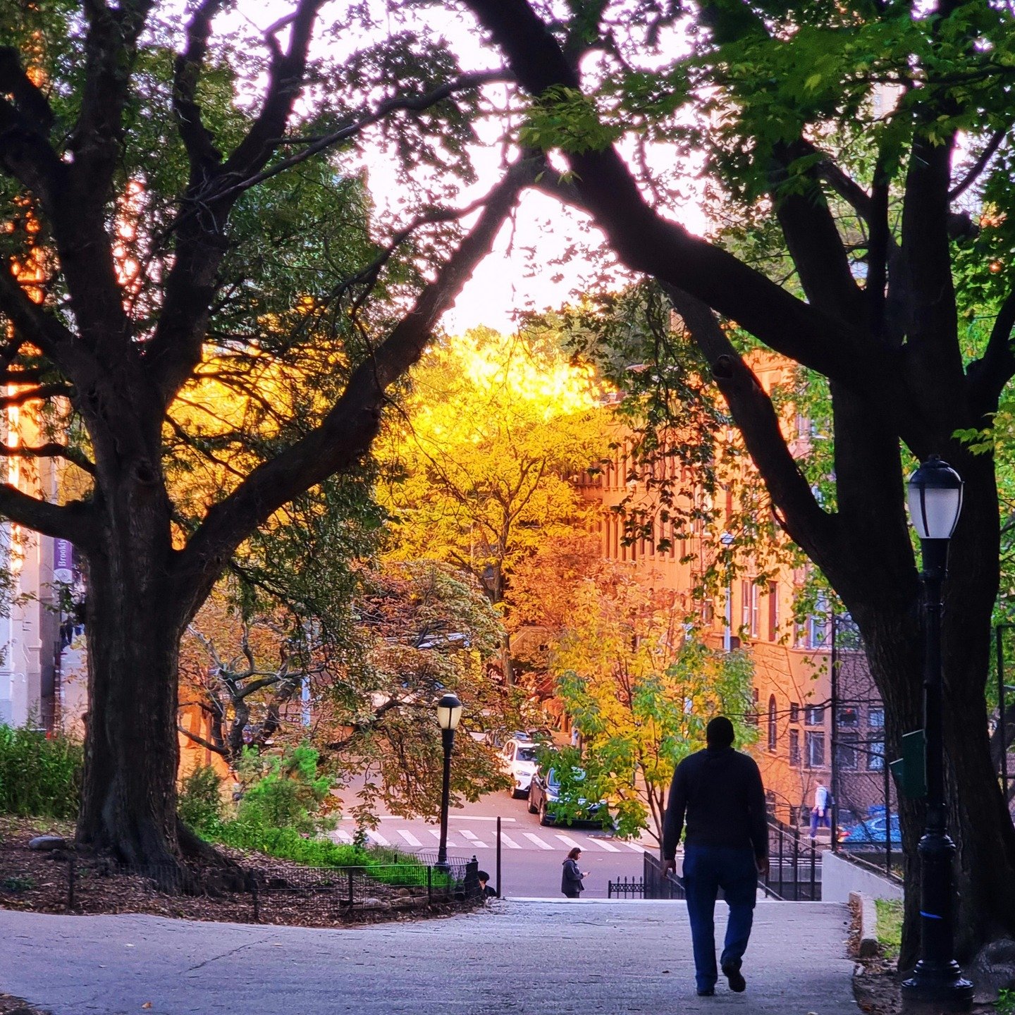 Unconditional love manifests easily when we genuinely work for the benefit of another