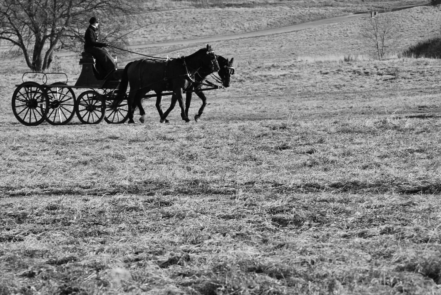 What adventure awaits you?