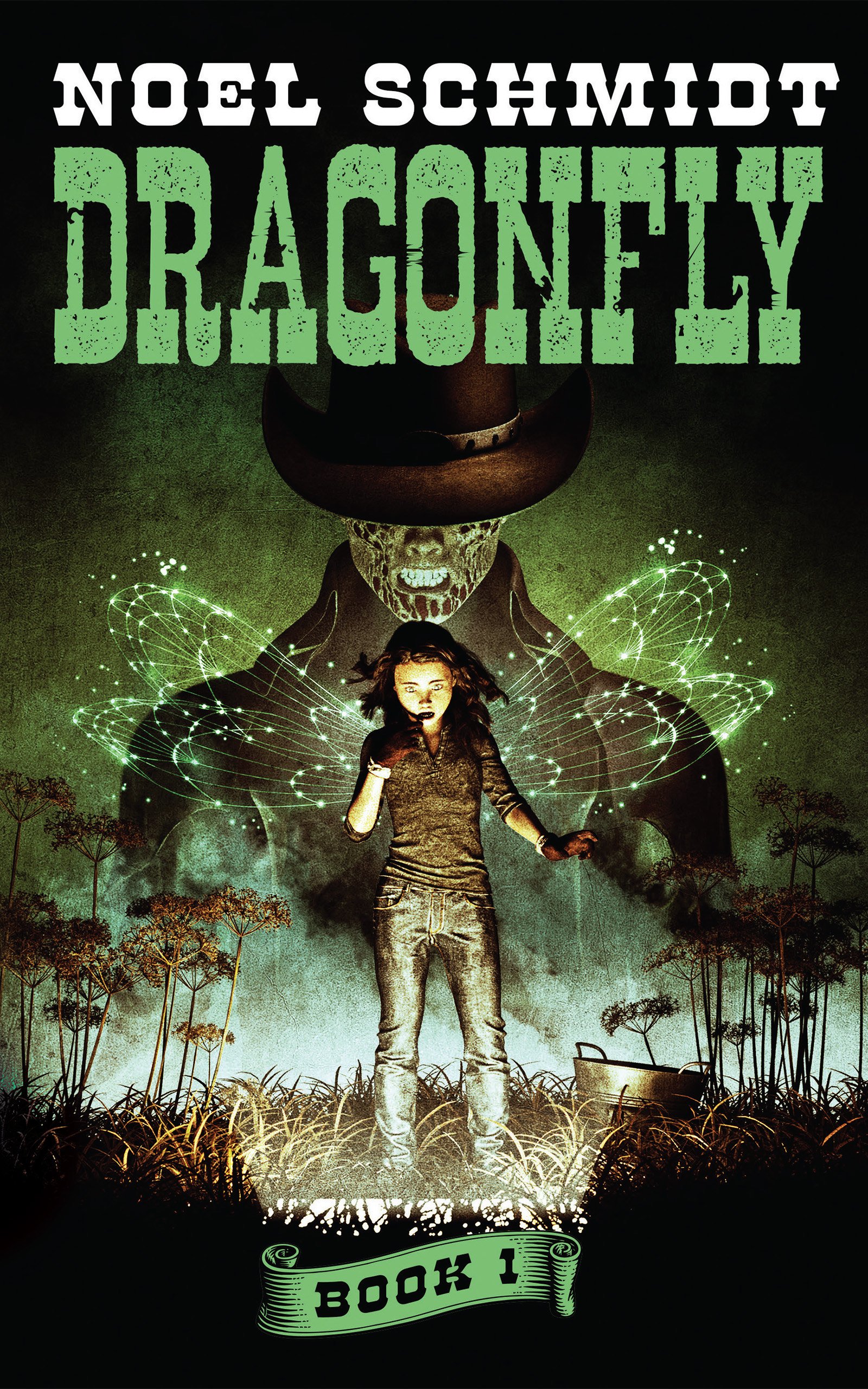 Dragonfly Book 1 by Noel Schmidt