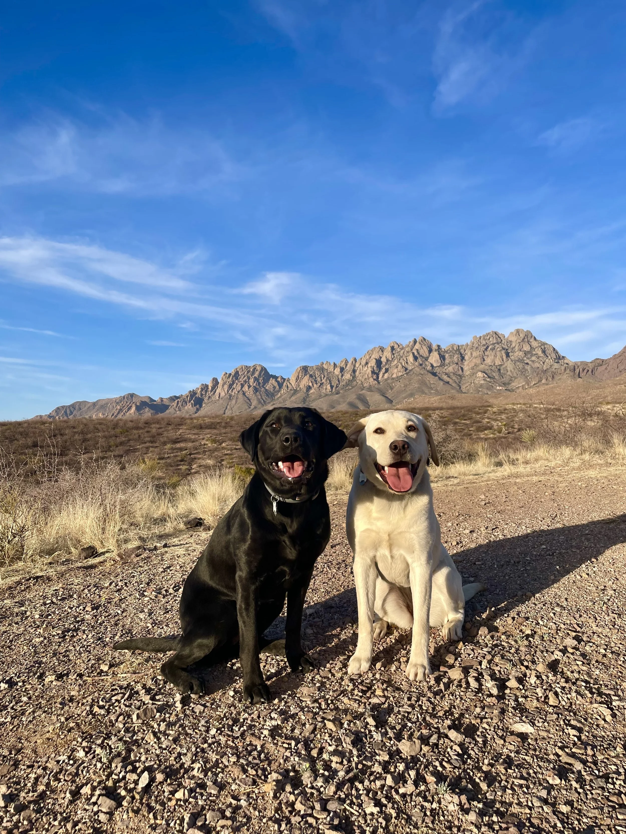 Sally and Sunny in Las Cruces
