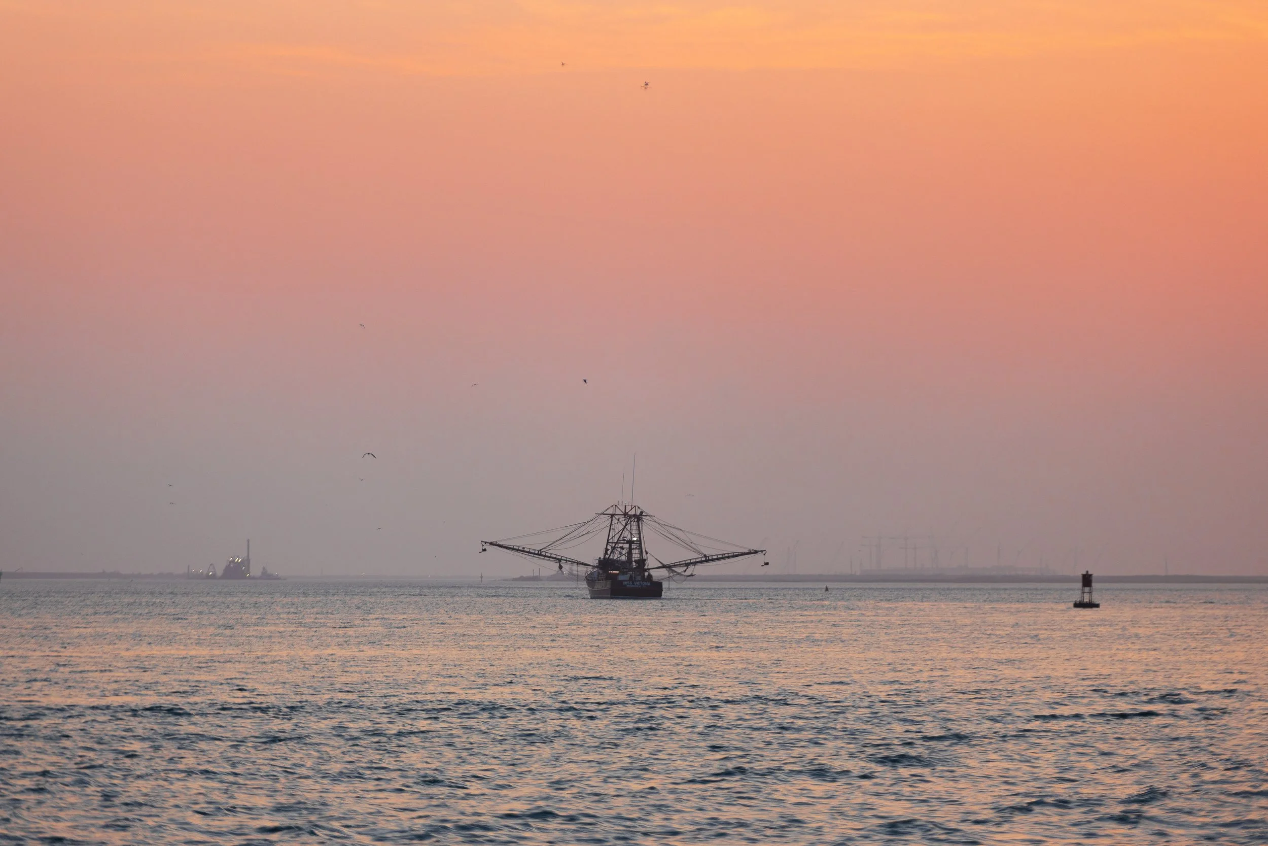SPI_Favorites_LL-14.jpg