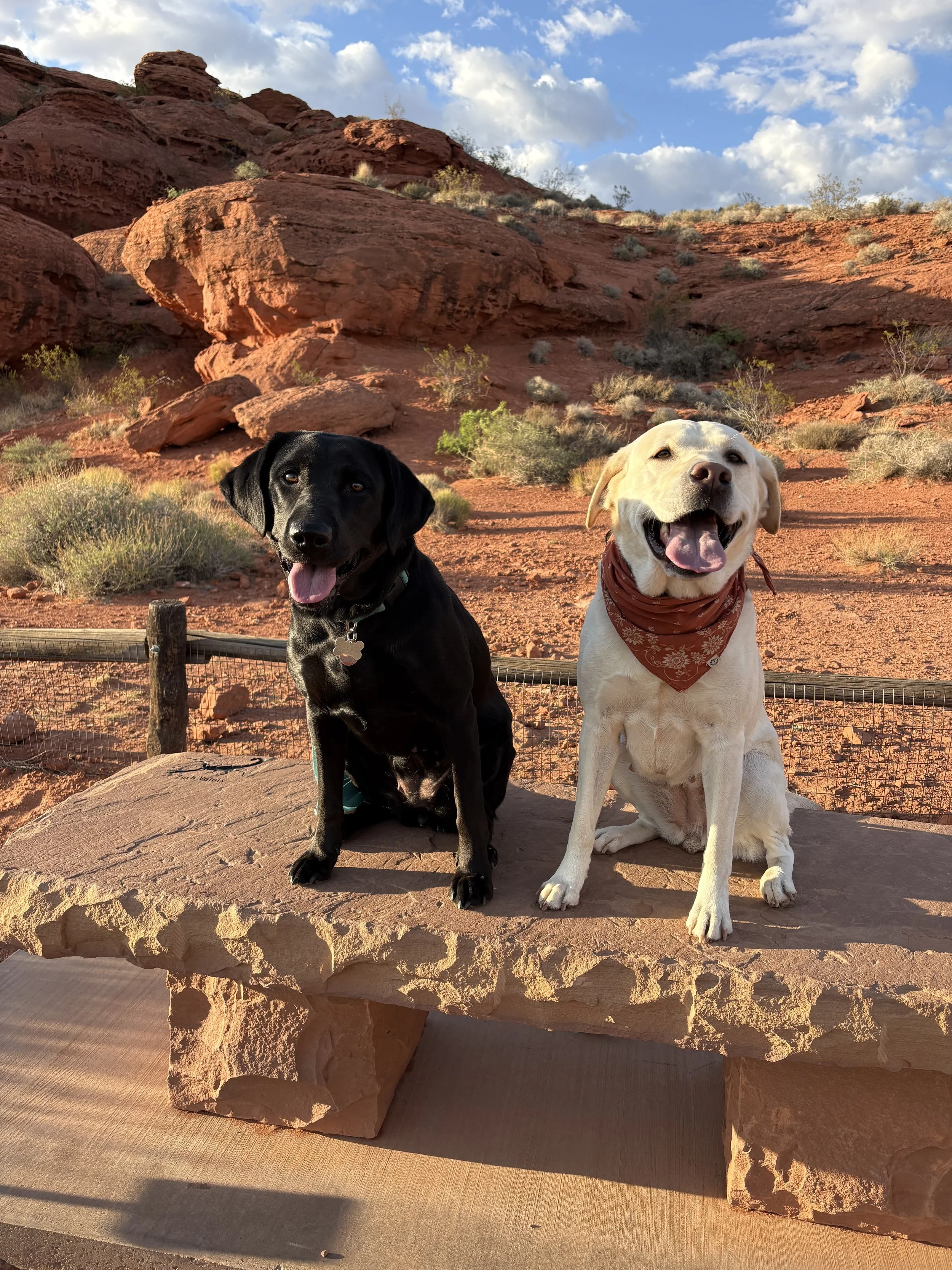 Fun at Red Hills Desert Garden!