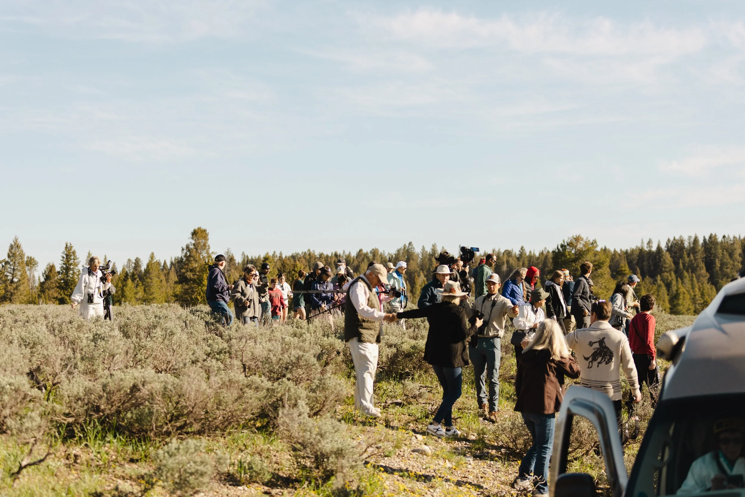 Crowd of people moving away from the bear