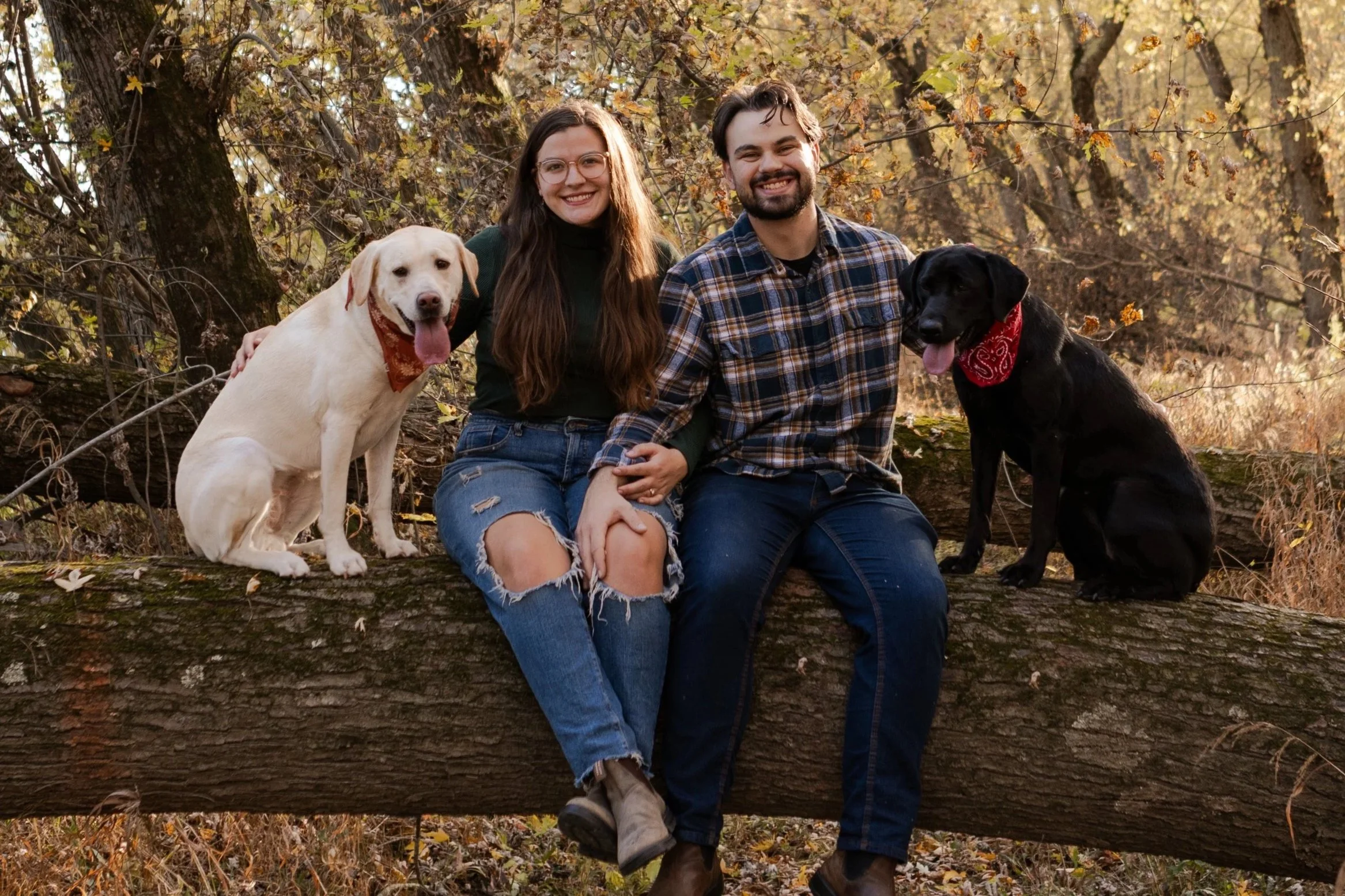 A young couple sitting on a fallen tree in a wooded area during fall, with two dogs sitting near them, one white with a bandana and the other black with a bandana, all smiling and looking at the camera.