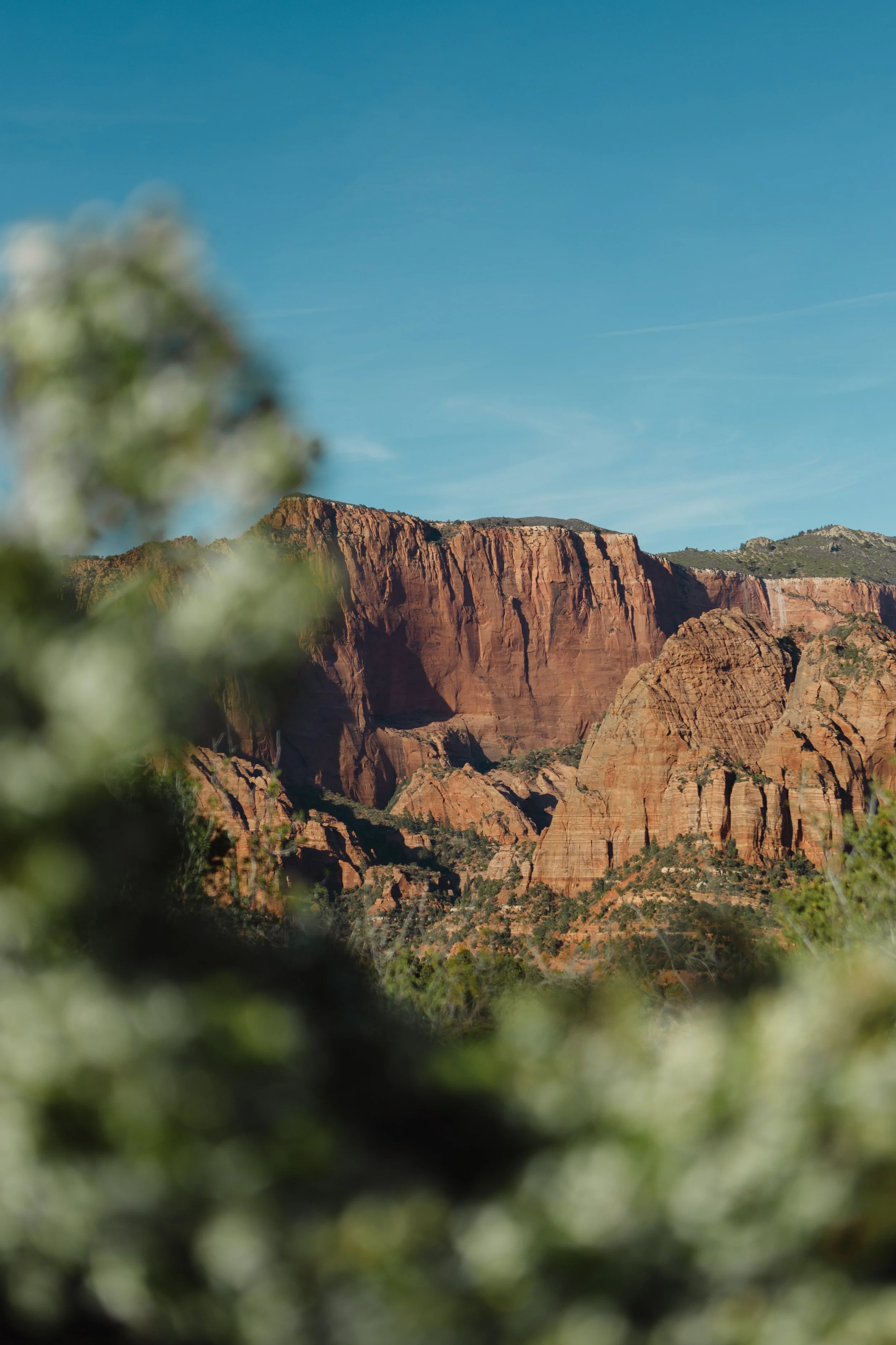 Living in Southern Utah for a Month