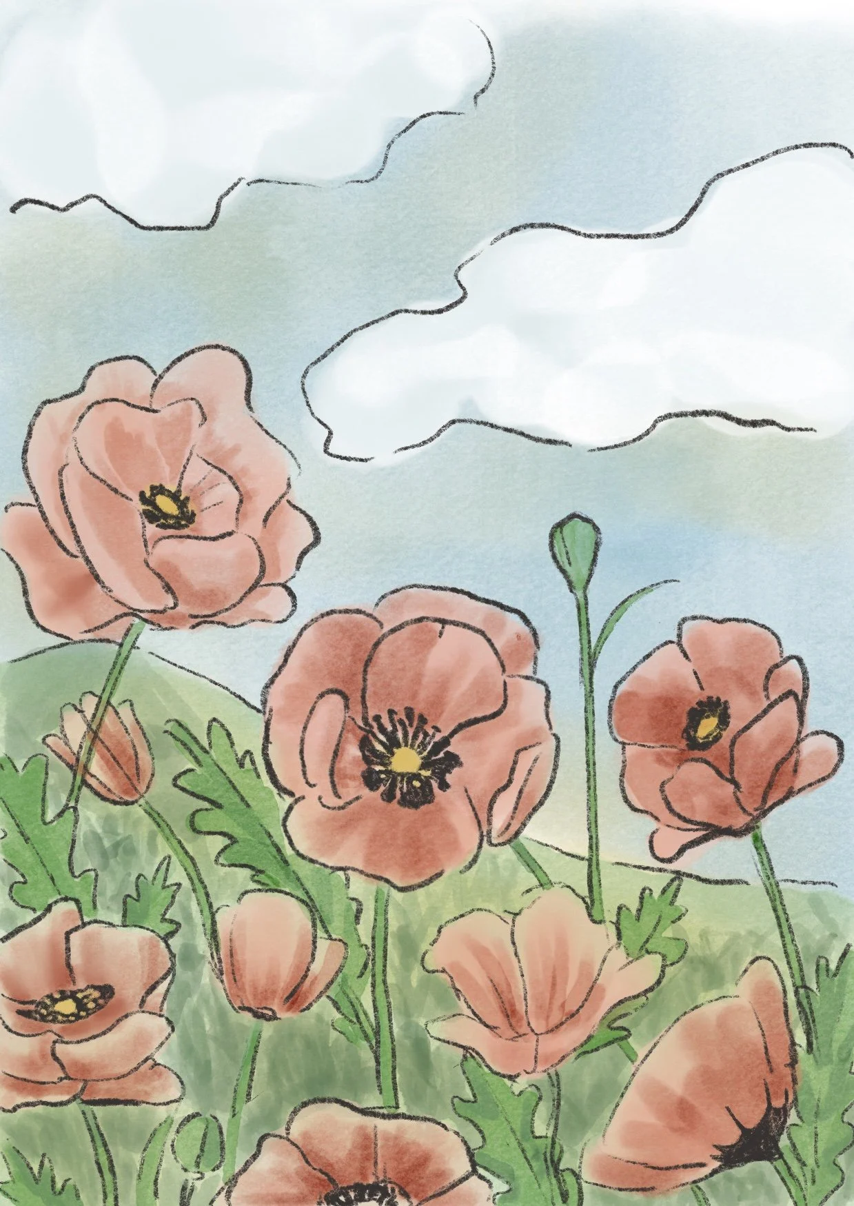 poppies.jpg