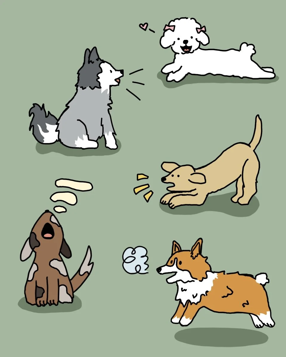 doggos.jpg