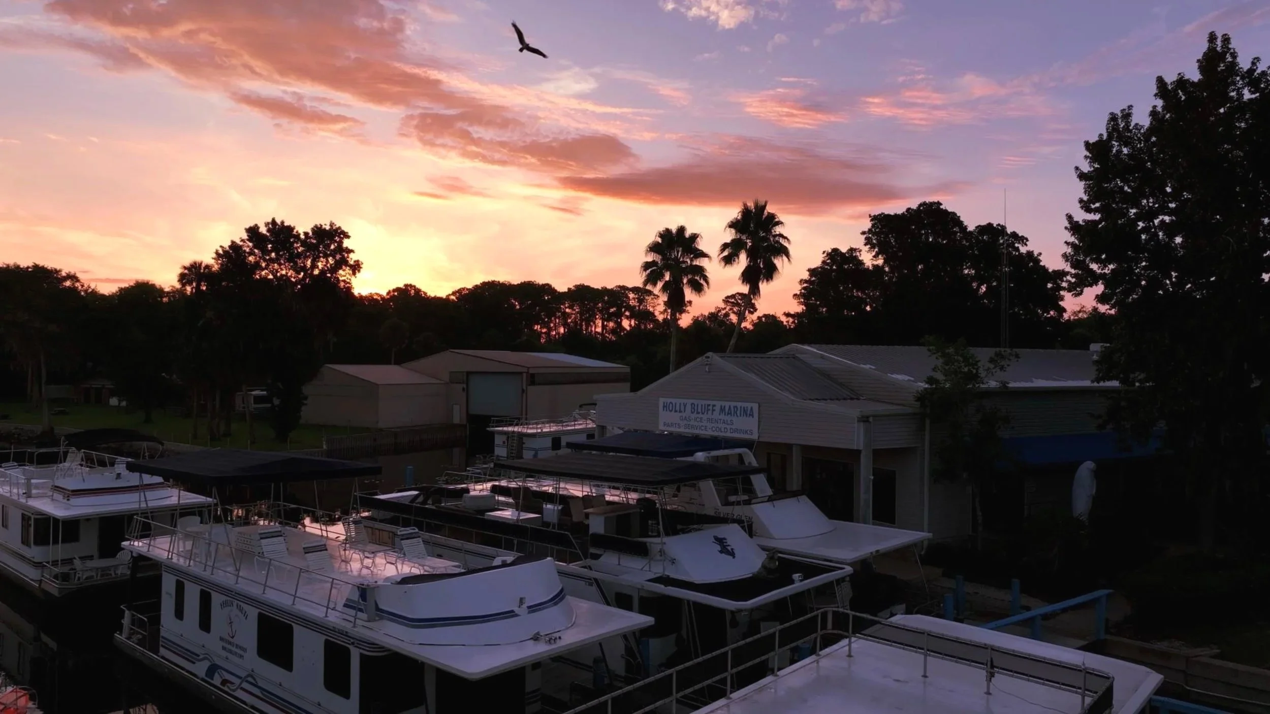 Sunrise at Holly Bluff-Thumbnail.jpg