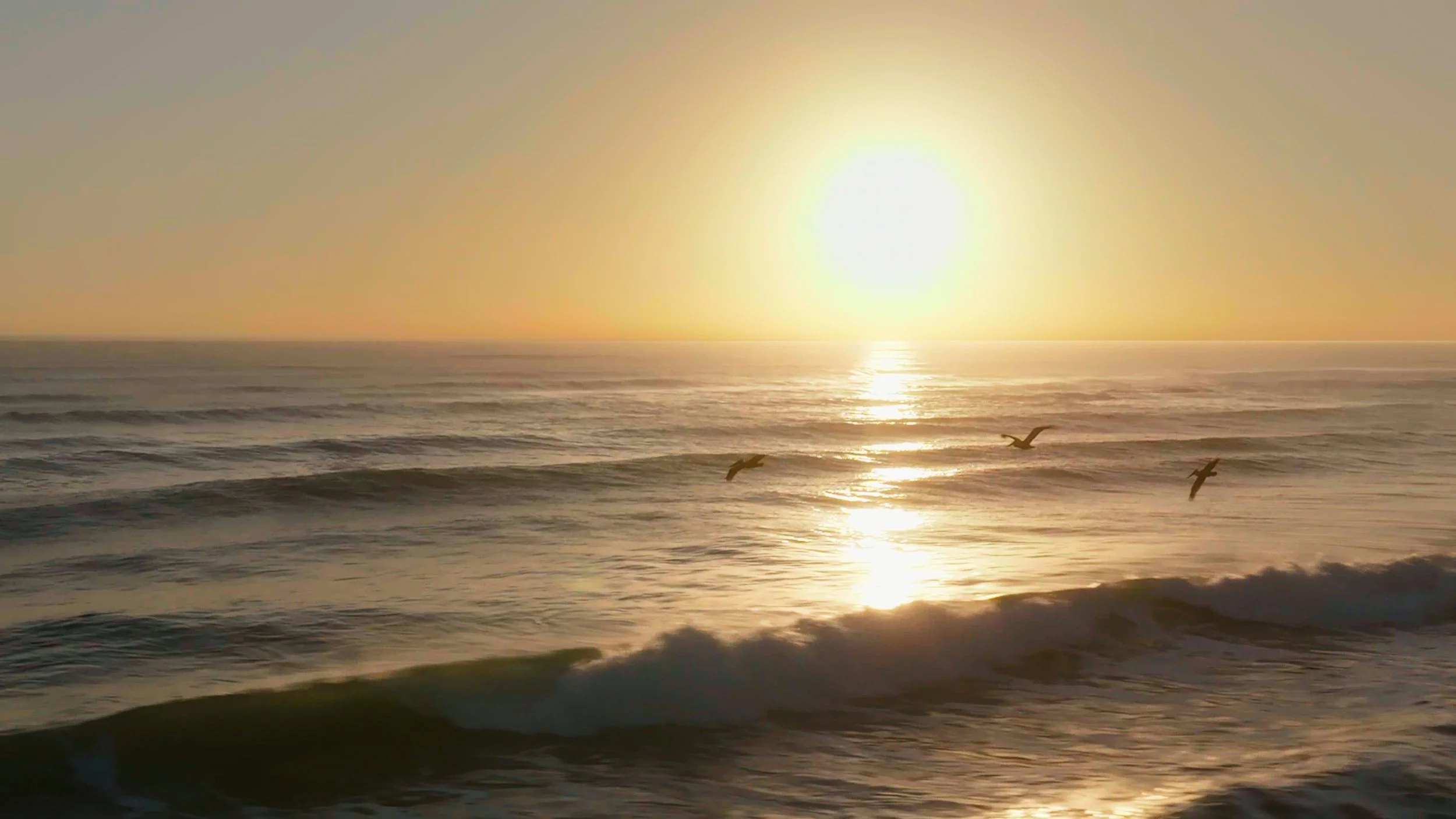 Sunrise over the Atlantic Ocean with gentle waves and three pelicans flying.  Ponce Inlet, Florida.  DJI Mavic 3 Pro.  Professional drone photography.
