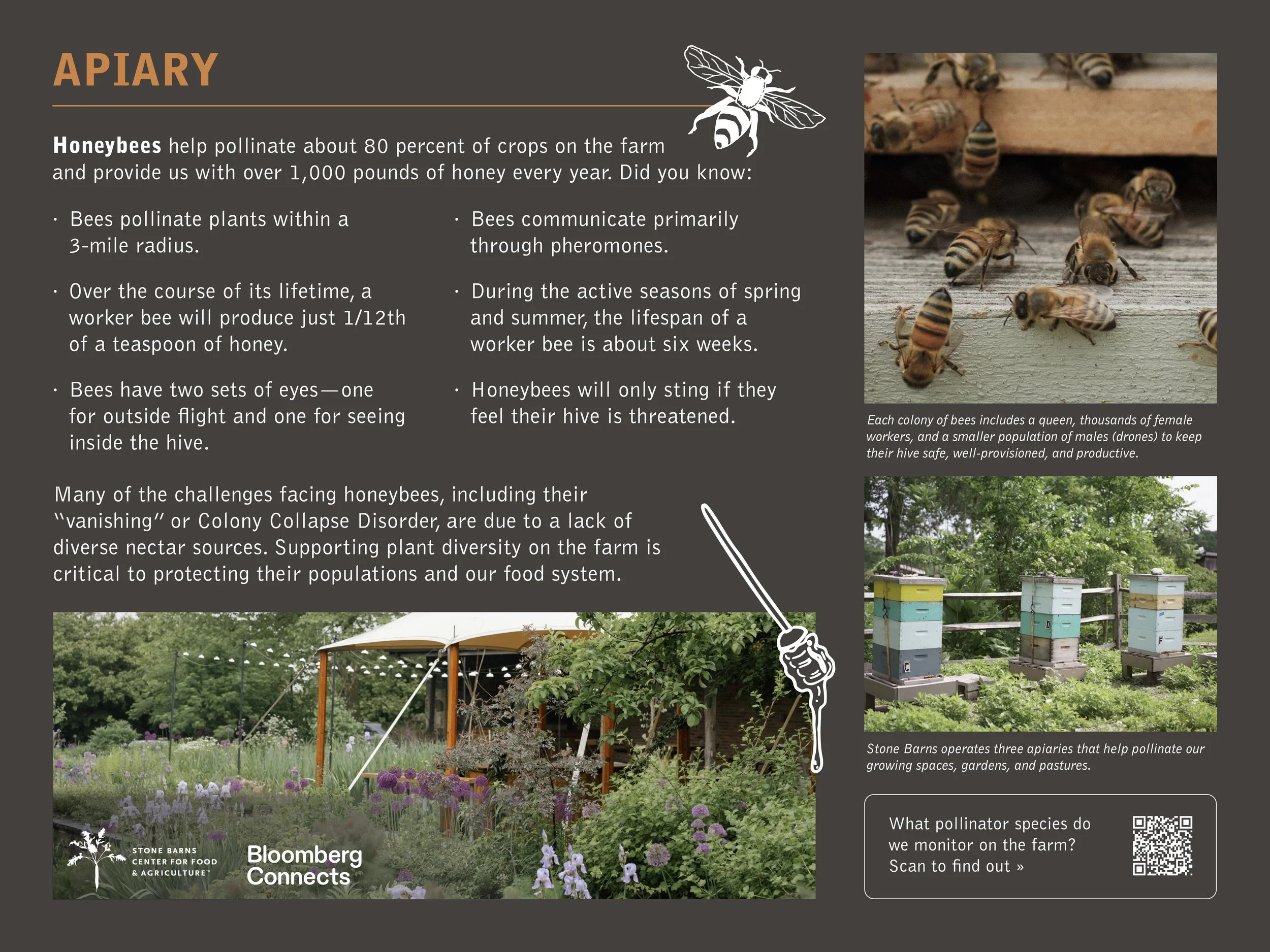 260806-bloomberg-signs-apiary.jpg