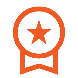 Icon of a medal with a star inside and a ribbon at the bottom Livewire Government Solutions