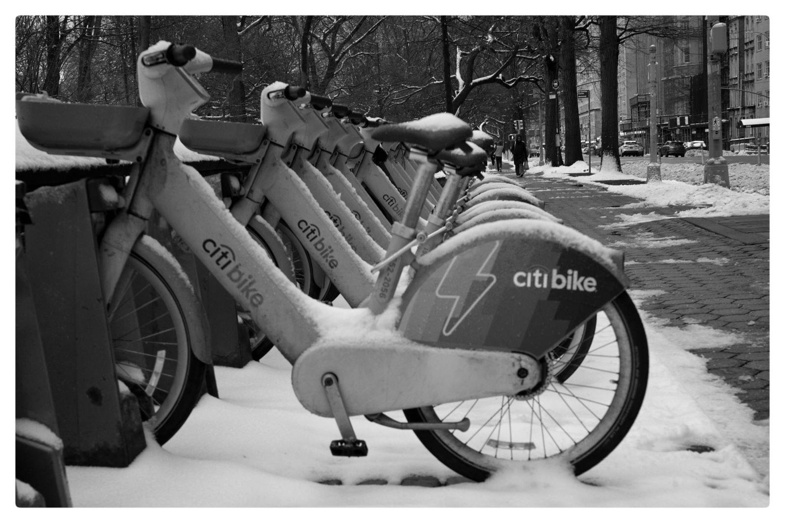 WhatsApp Image 2026-03-19 at 2.36.27 AM.jpeg