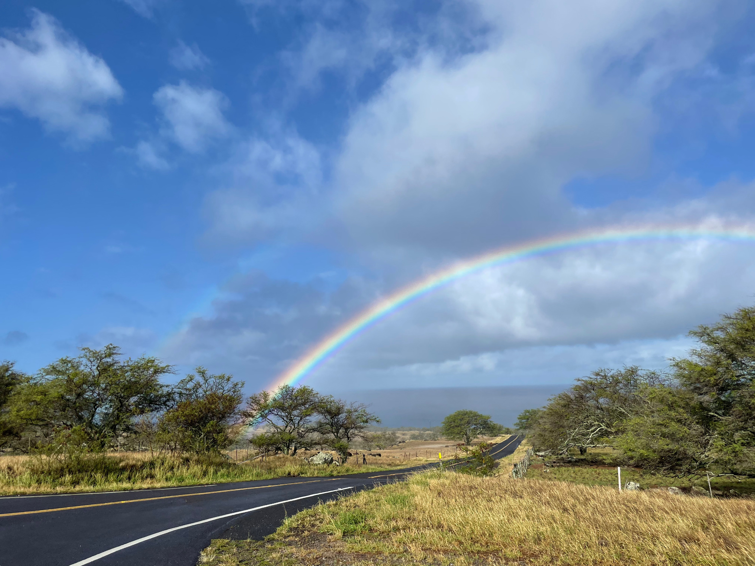 Screenshot 2025-11-11 at 8.41.46 AM.png