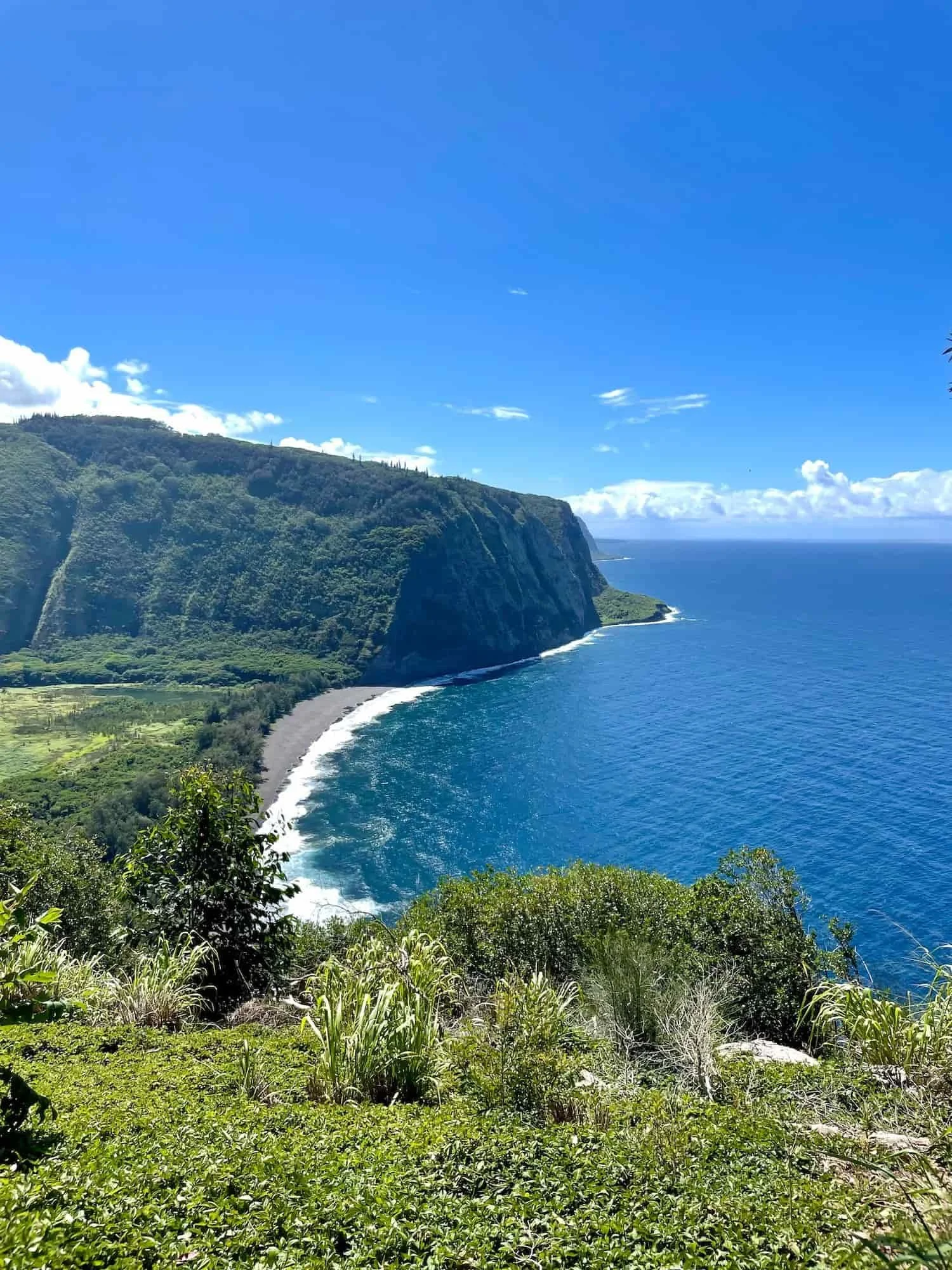 Waipio Valley black sand beach overlook things to do in Big Island Hawaii