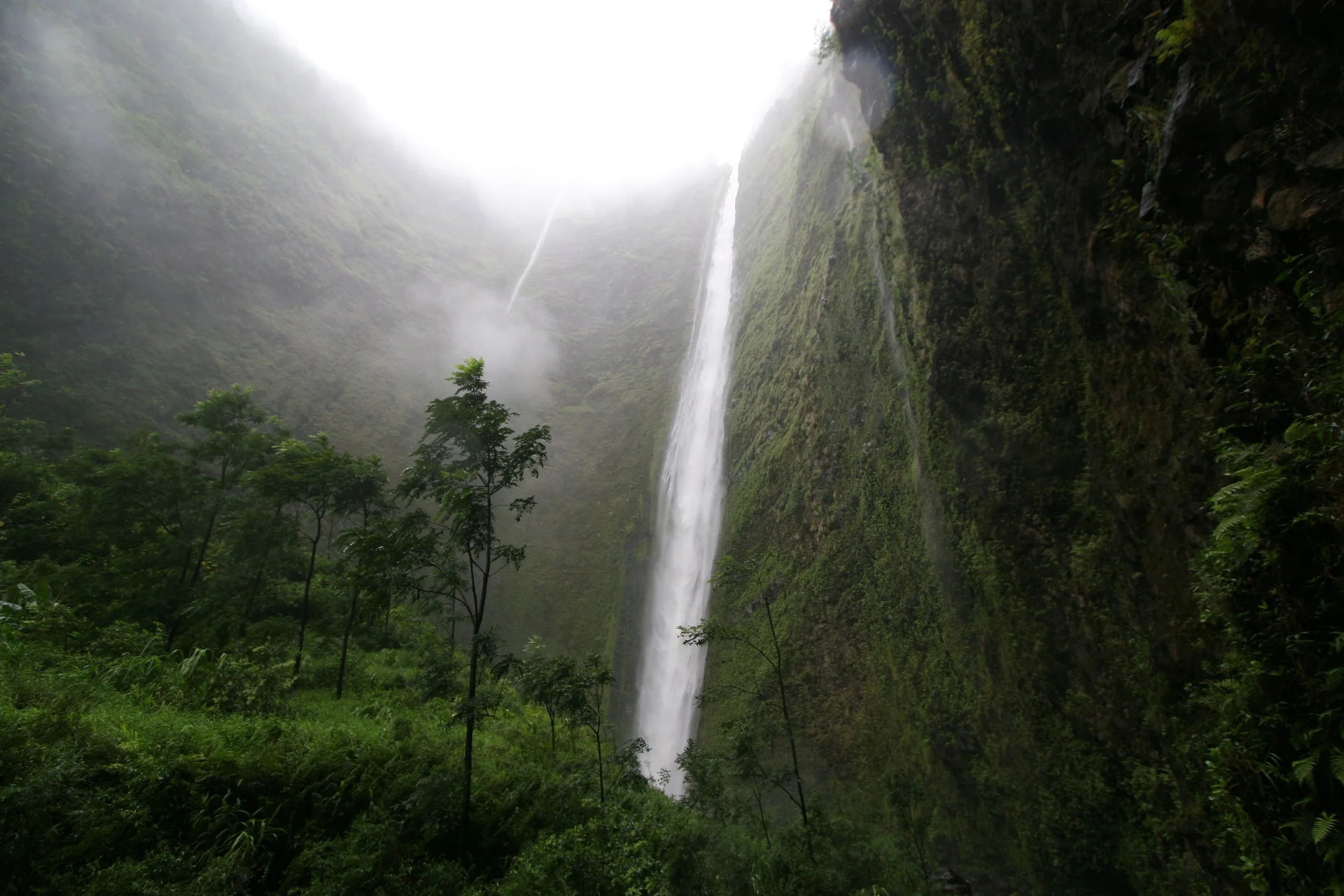 Hiʻilawe Falls View (Waipiʻo Valley Rim)