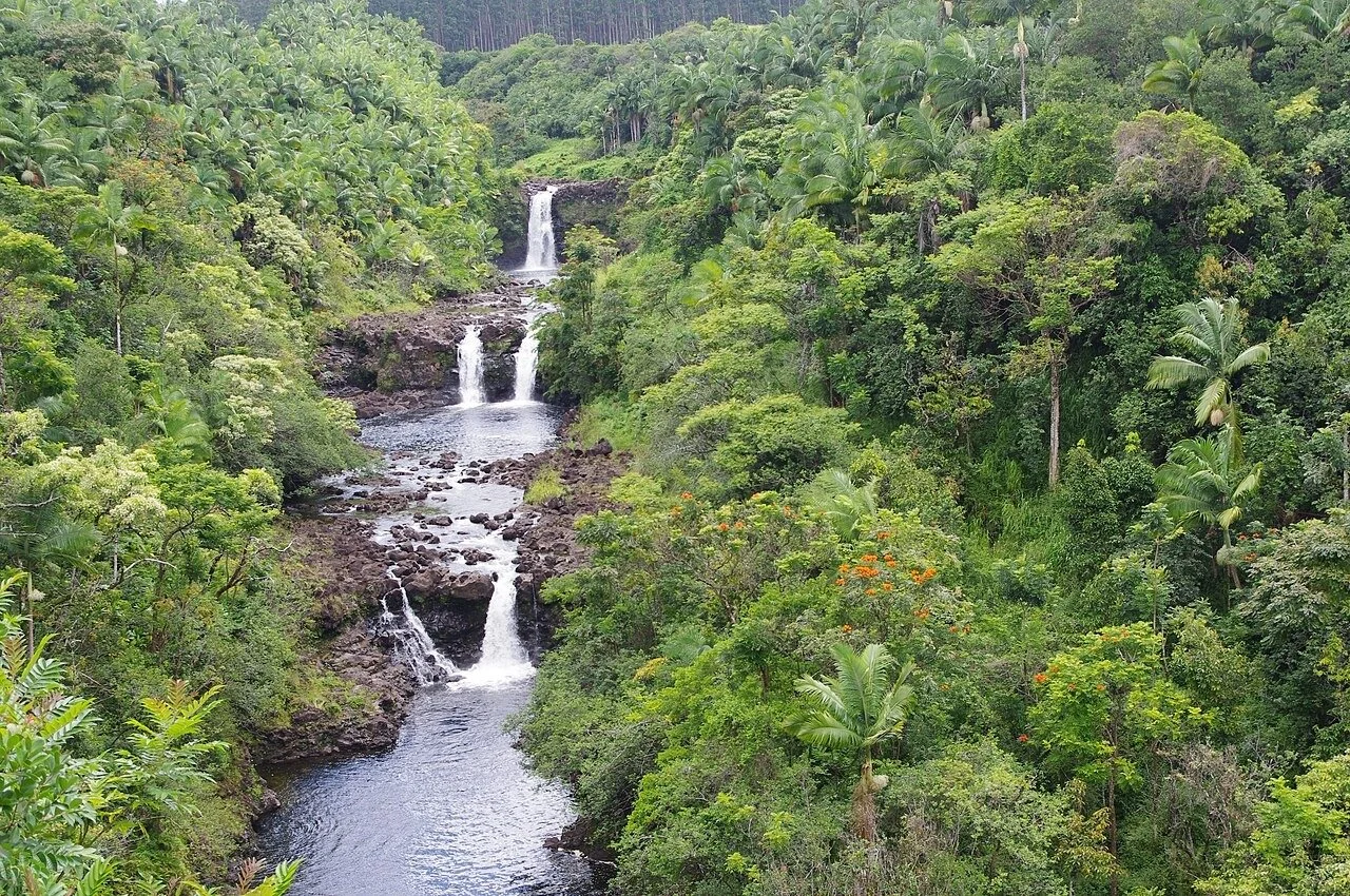 Umauma Falls &amp; Zipline Gardens