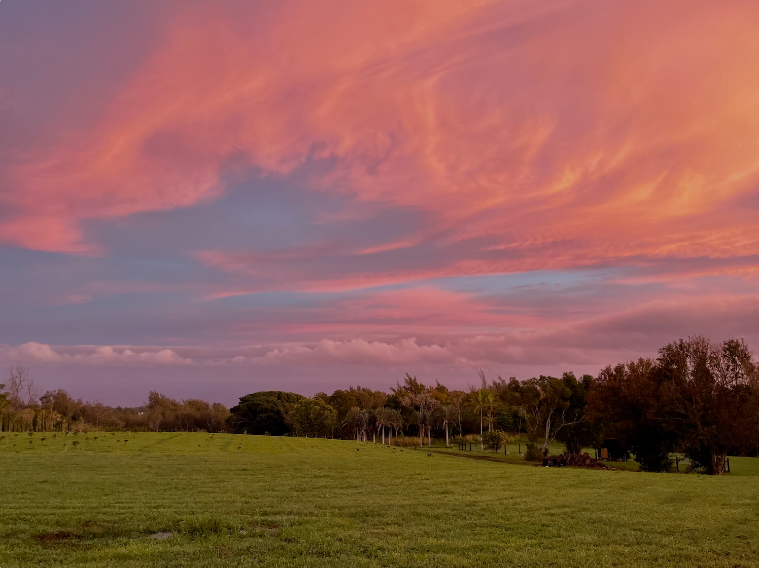 Screenshot 2025-12-11 at 8.16.48 AM.png