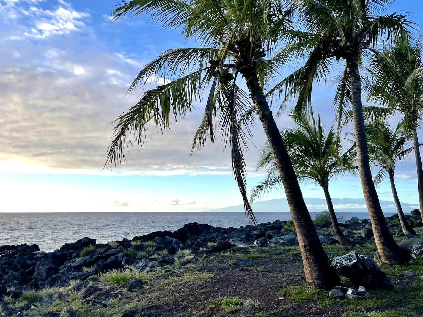 A tropical shoreline with several leaning coconut palm trees, rocky terrain, and the ocean, under a partly cloudy sky with distant land across the water.