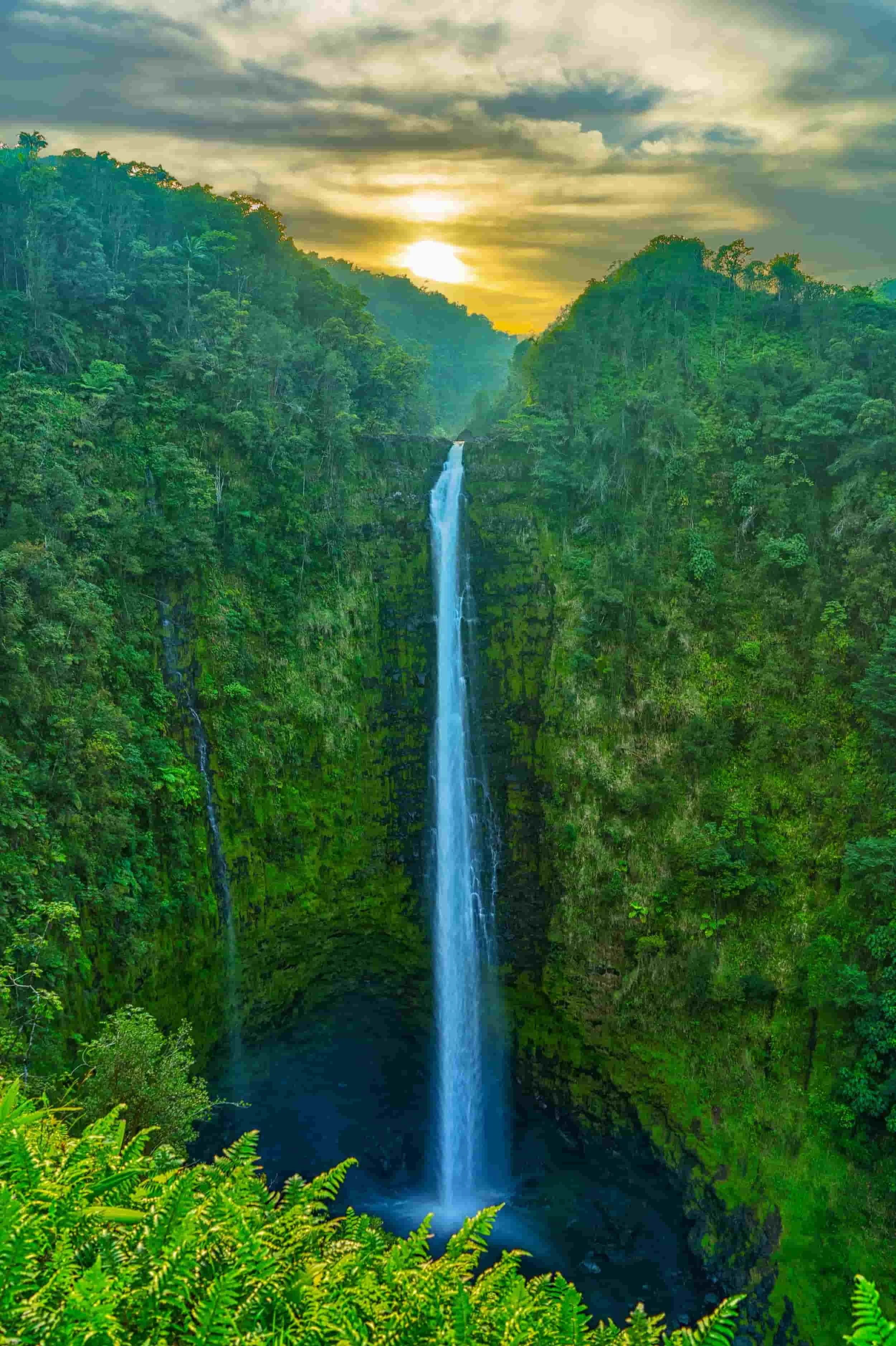 A tall waterfall flowing into a dark pool surrounded by lush green forest and a cloudy sky with the sun setting or rising.