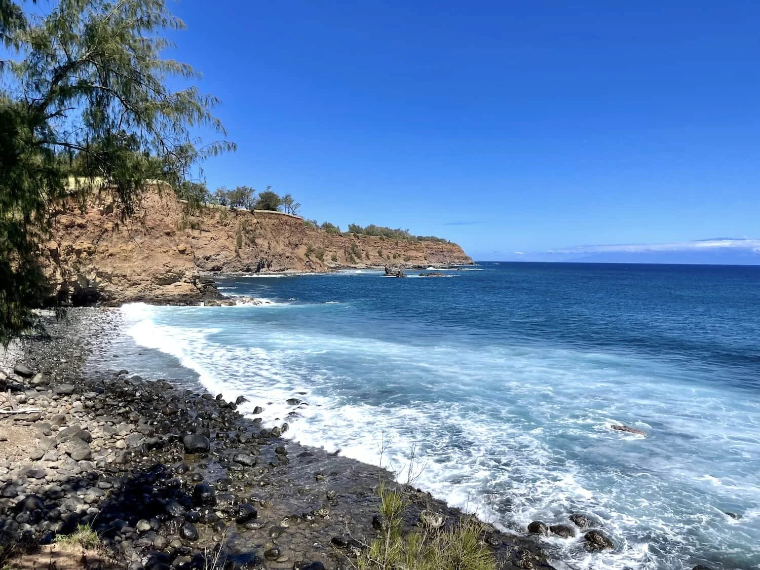 A rocky coastline with cliffs and trees on a sunny day, blue ocean water with white waves, and a clear blue sky.