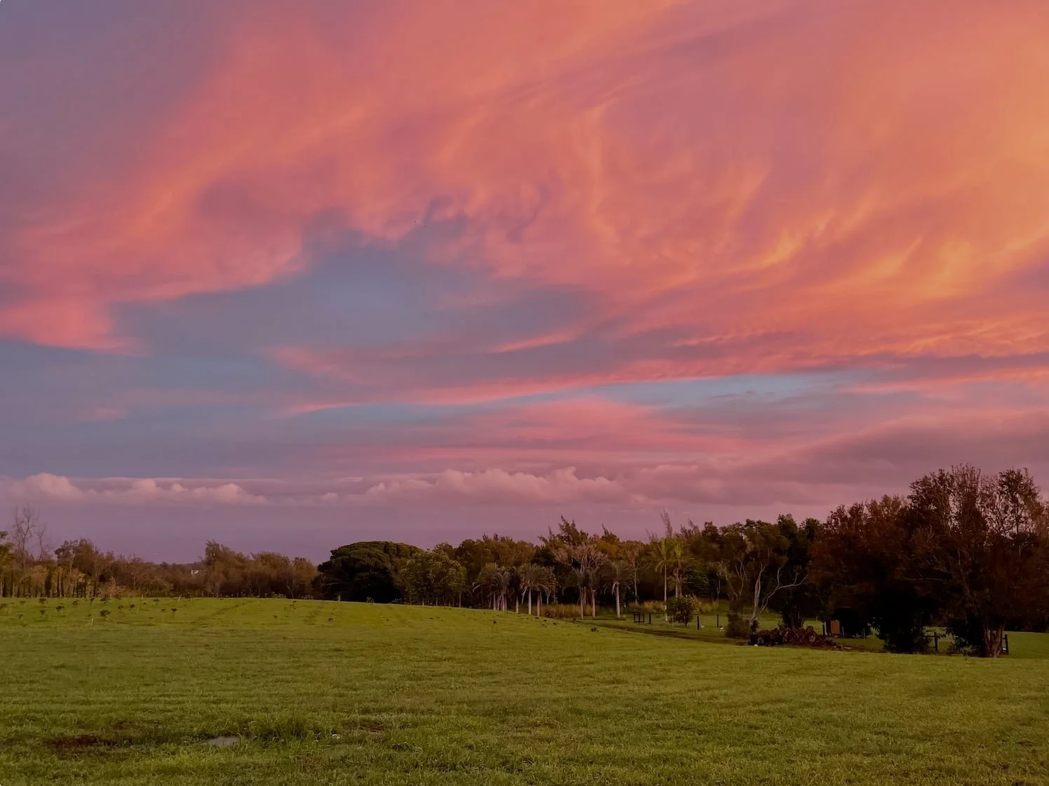 A scenic landscape with a green grassy field, scattered trees, and a sunset sky with pink, purple, and orange clouds.