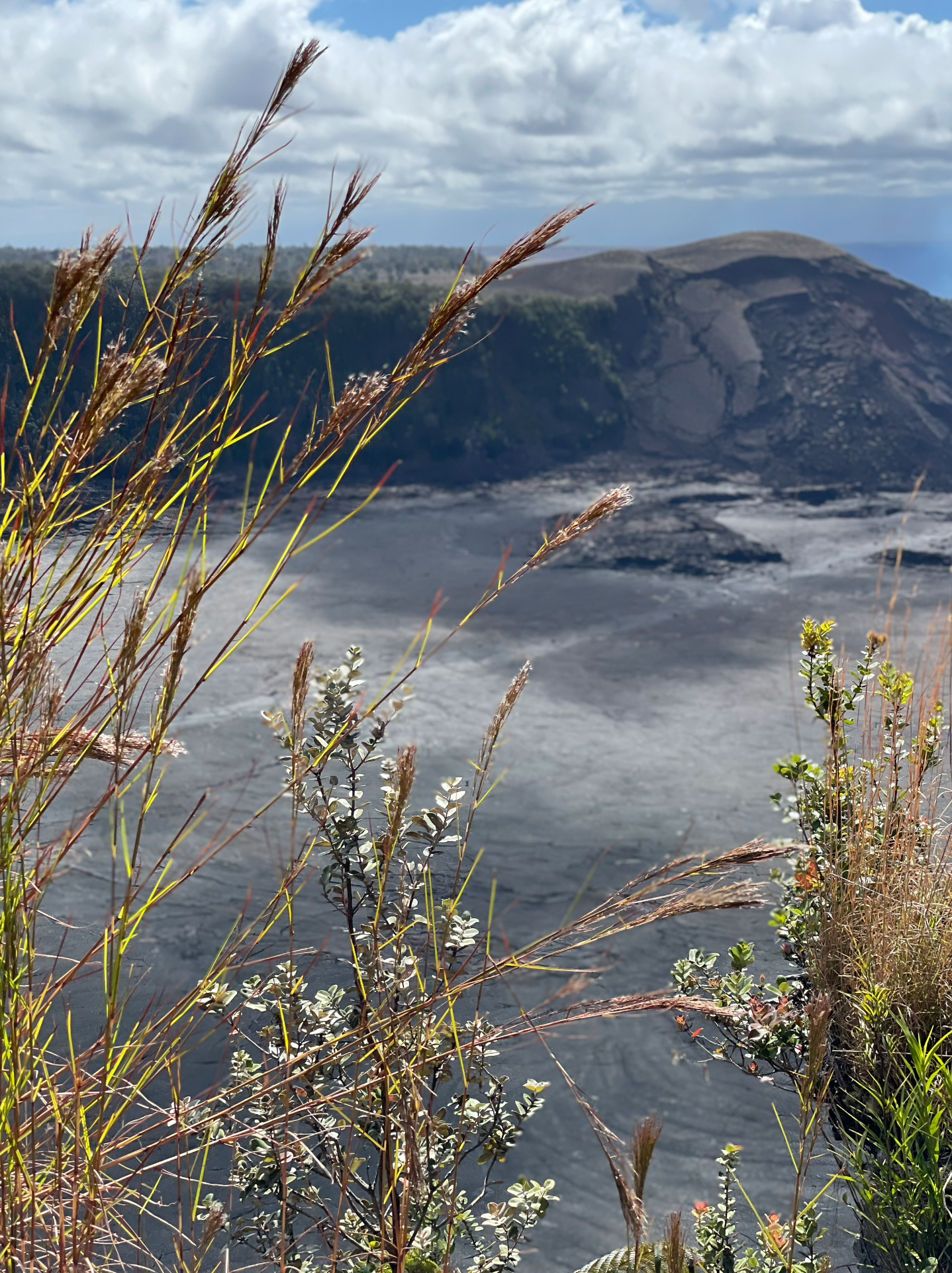 Hawai’i Volcano National Park