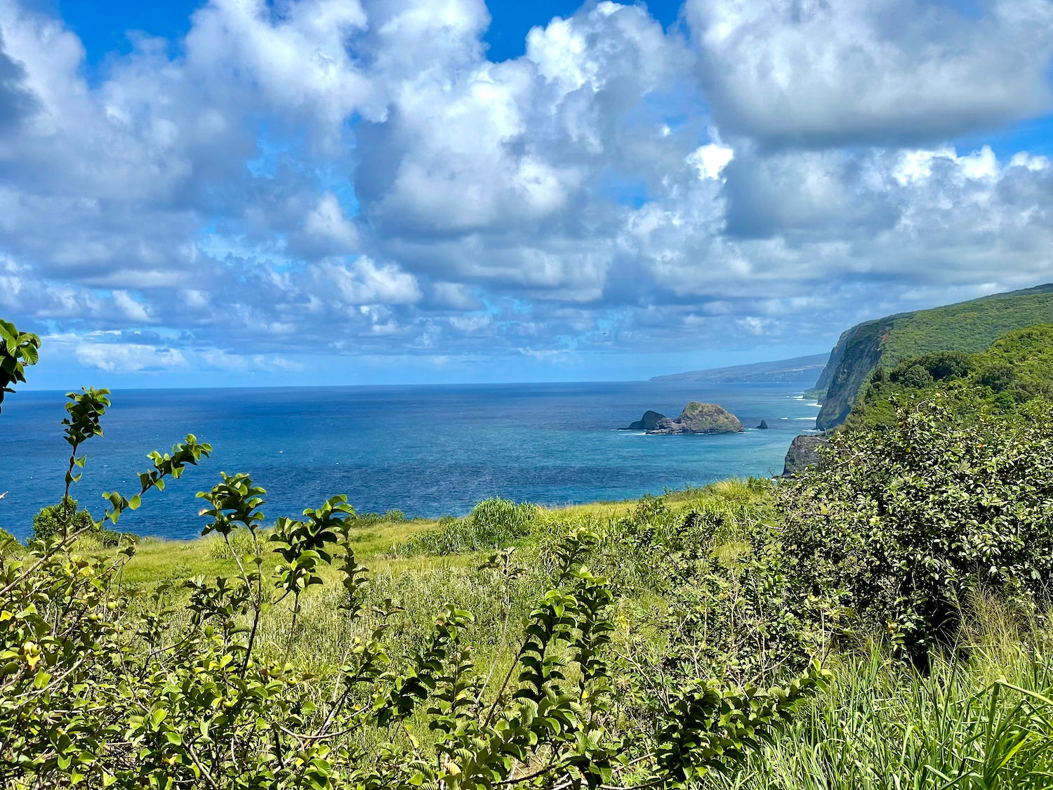 Pololū Valley Trail (Black Sand Beach Hike)