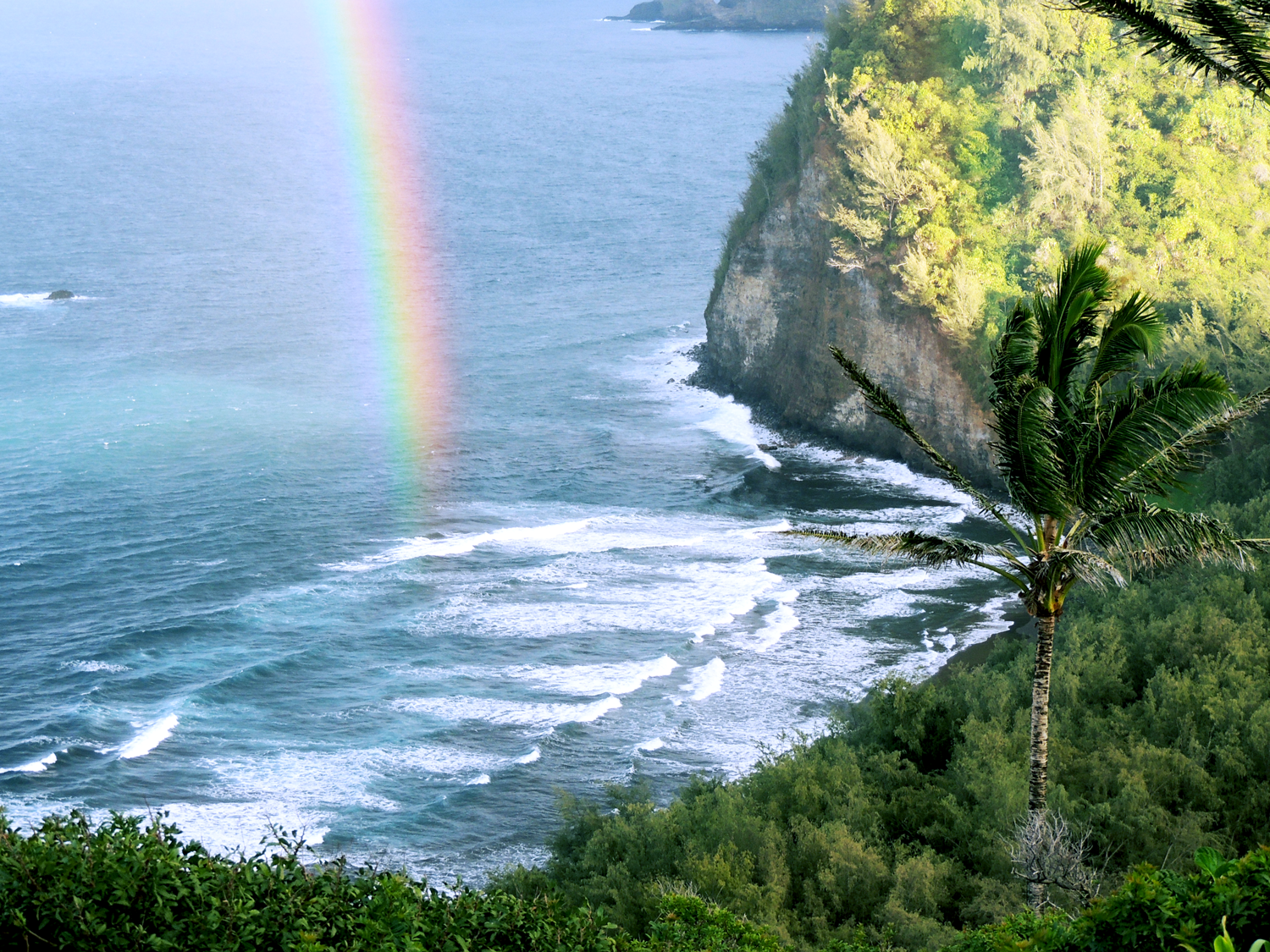 Upolu Point Lookout