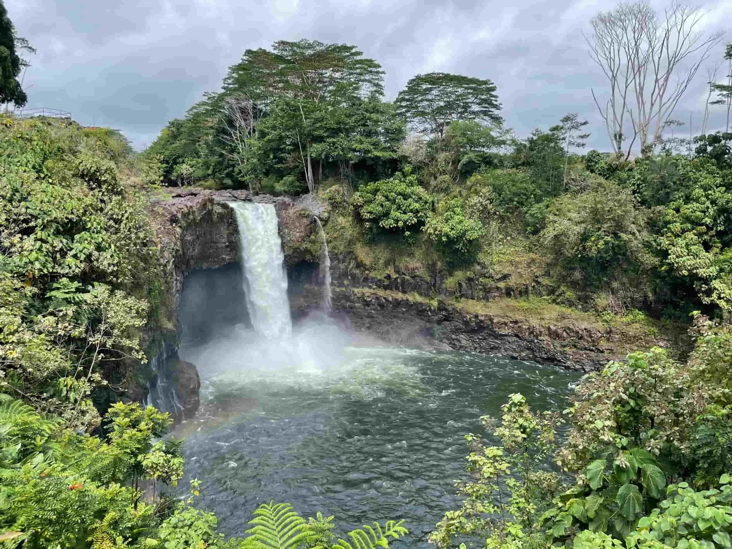 A waterfall flowing down a rocky cliff into a river surrounded by lush green trees in a forest.
