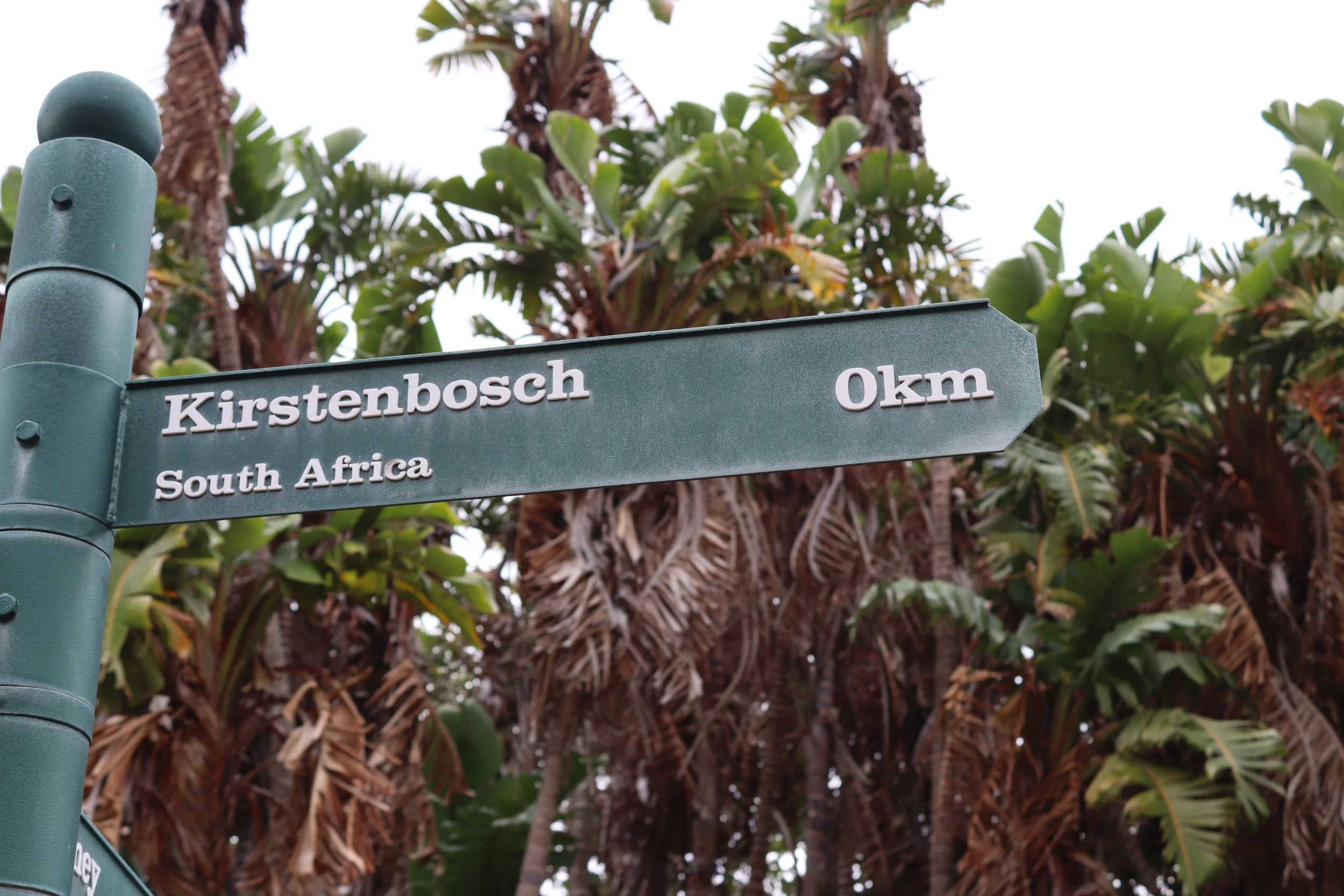 A unique image of a monument at Kirstenbosch Botanical Gardens