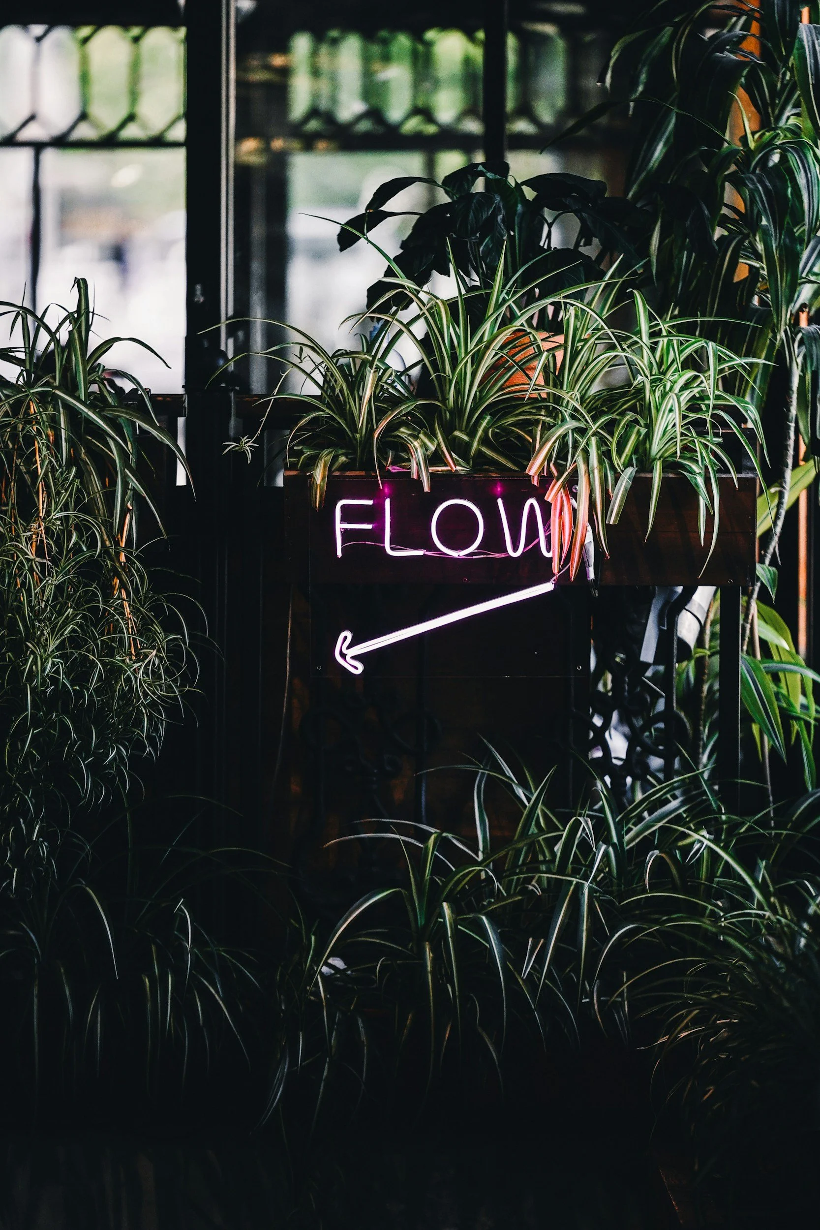 The Science of Flow: Why It Matters for Your Productivity